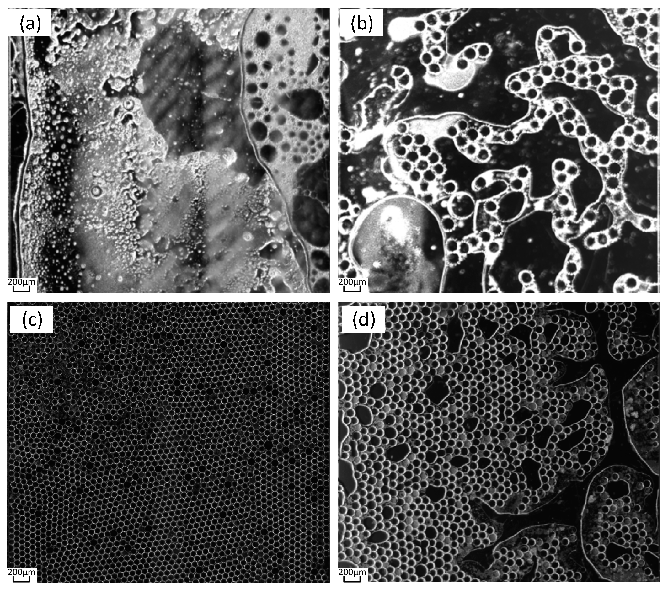 Micromachines 14 01257 g009