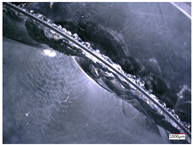 Micromachines 14 01270 i005