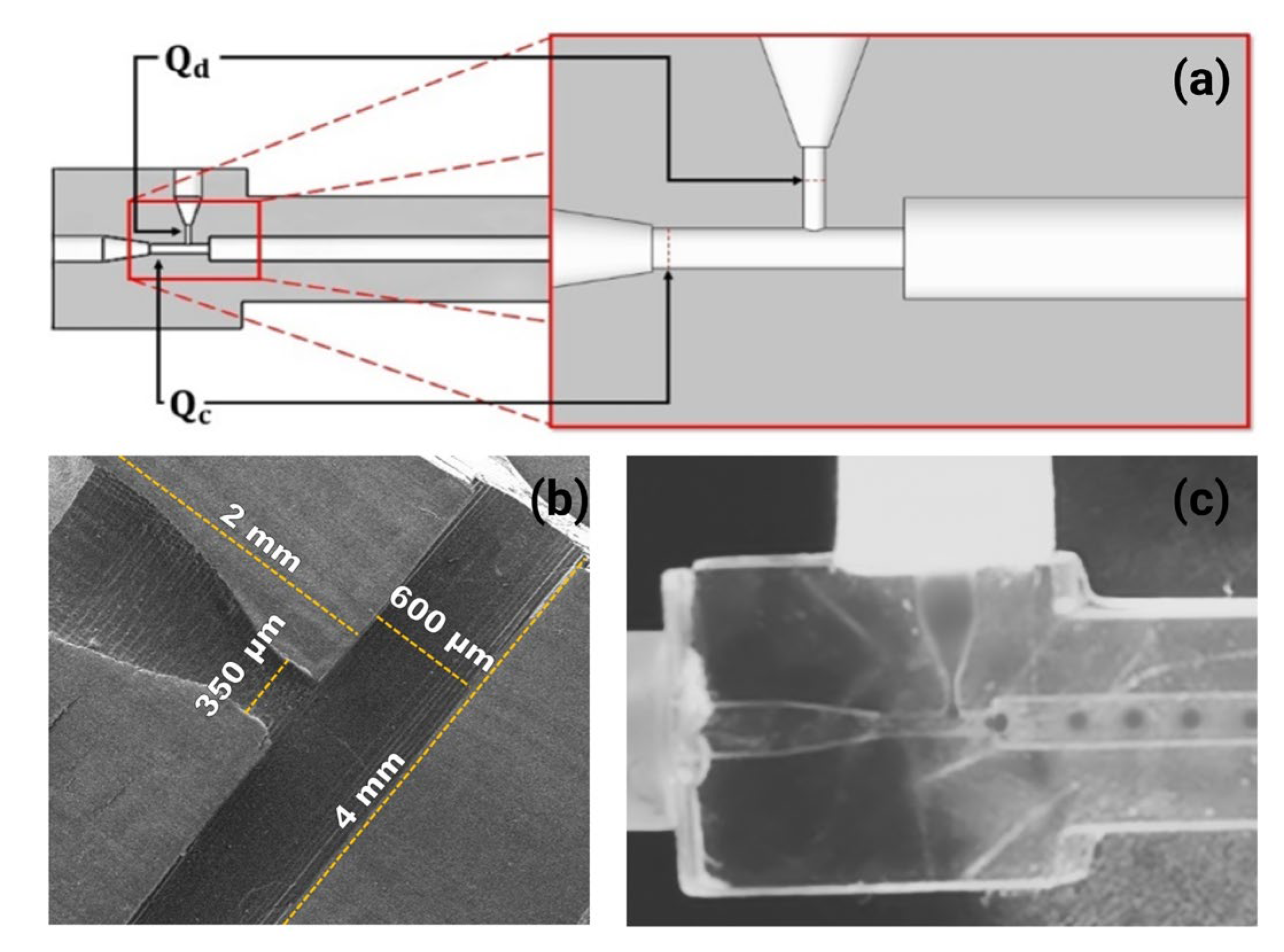 Micromachines 14 01279 g001