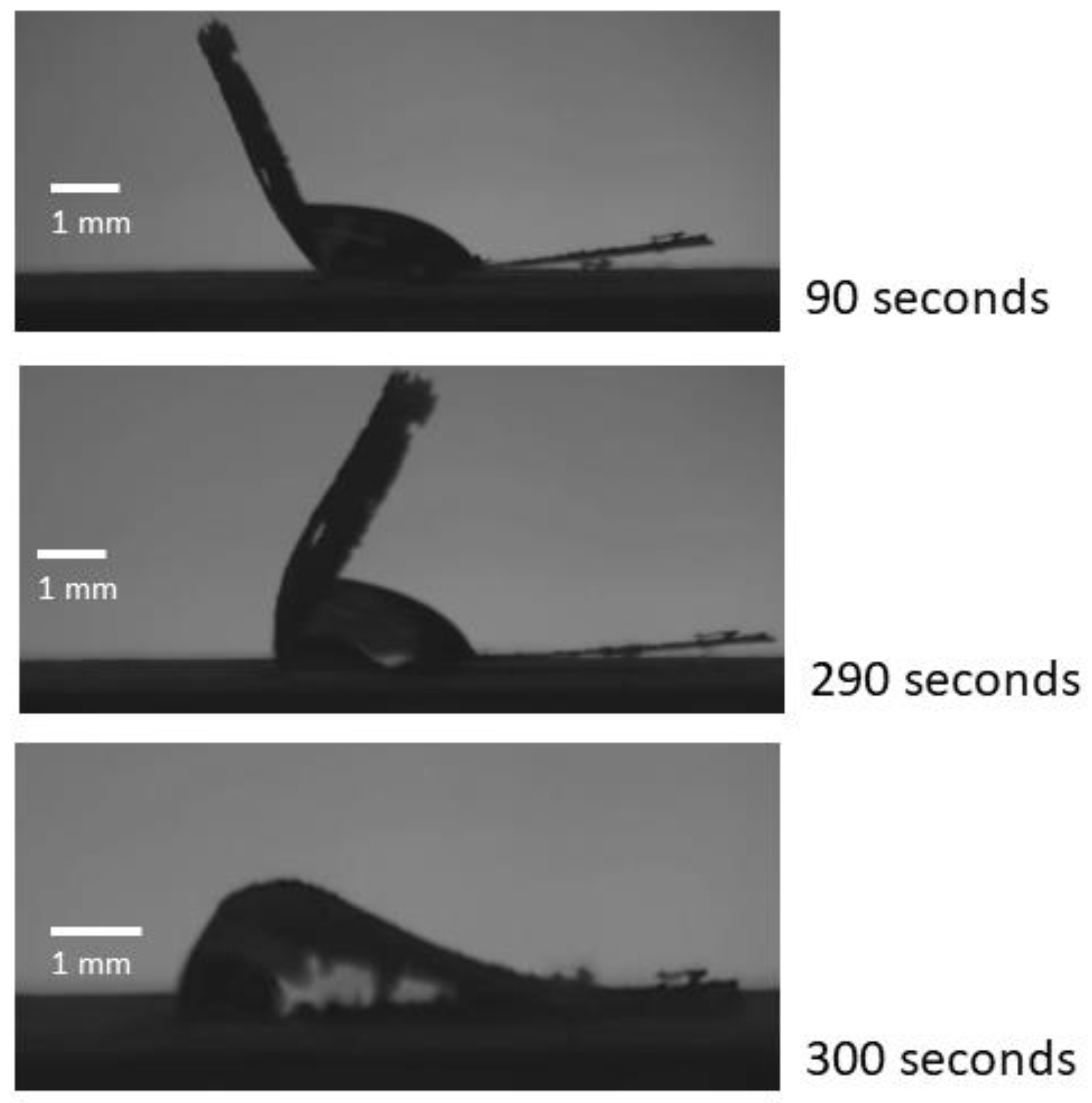 Micromachines 14 01306 g010 Micromachines 14 01306 g010