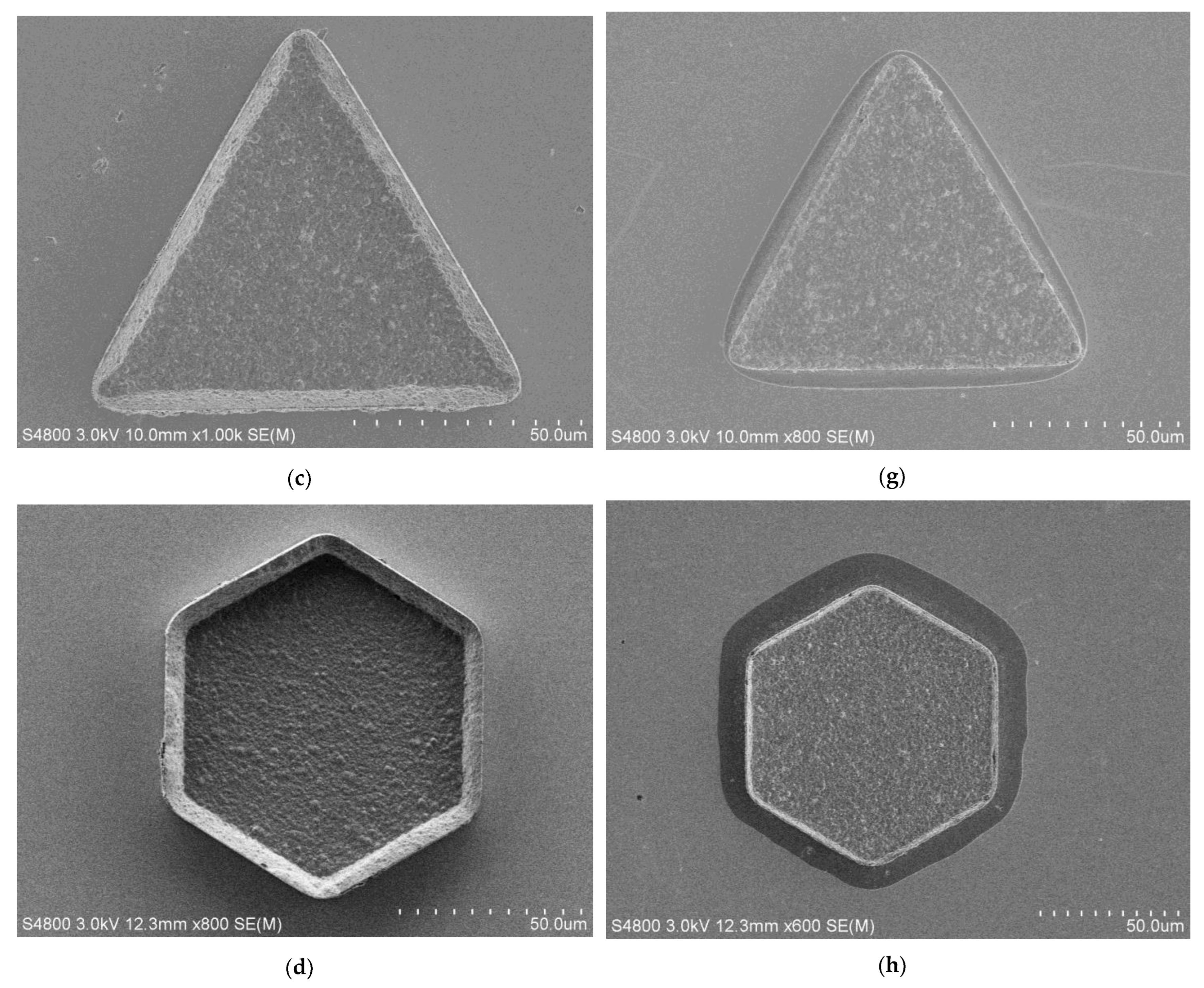 Micromachines 14 01307 g009b