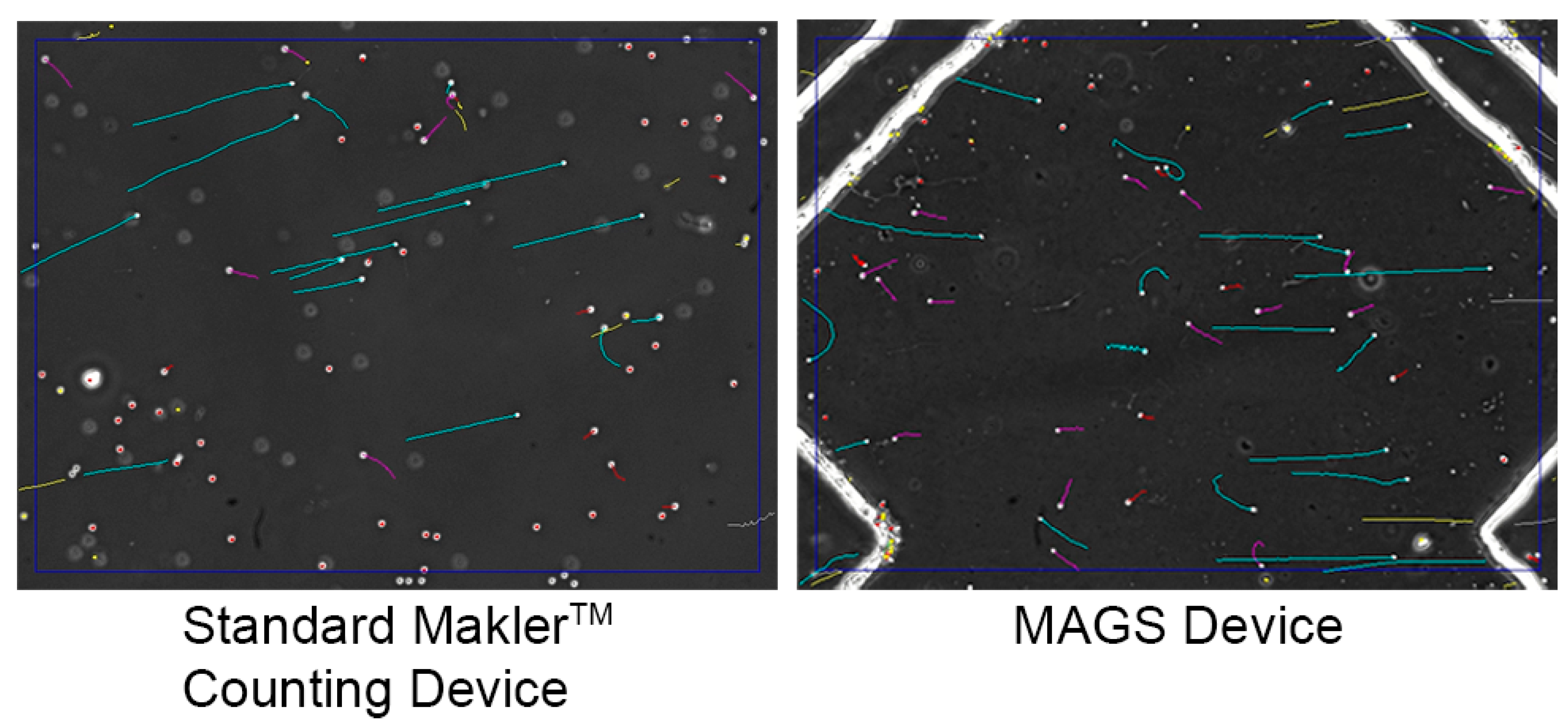 Micromachines 14 01310 g010