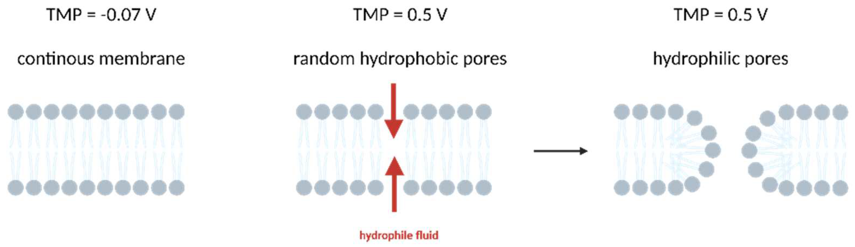 Micromachines 14 01321 g002 Micromachines 14 01321 g002