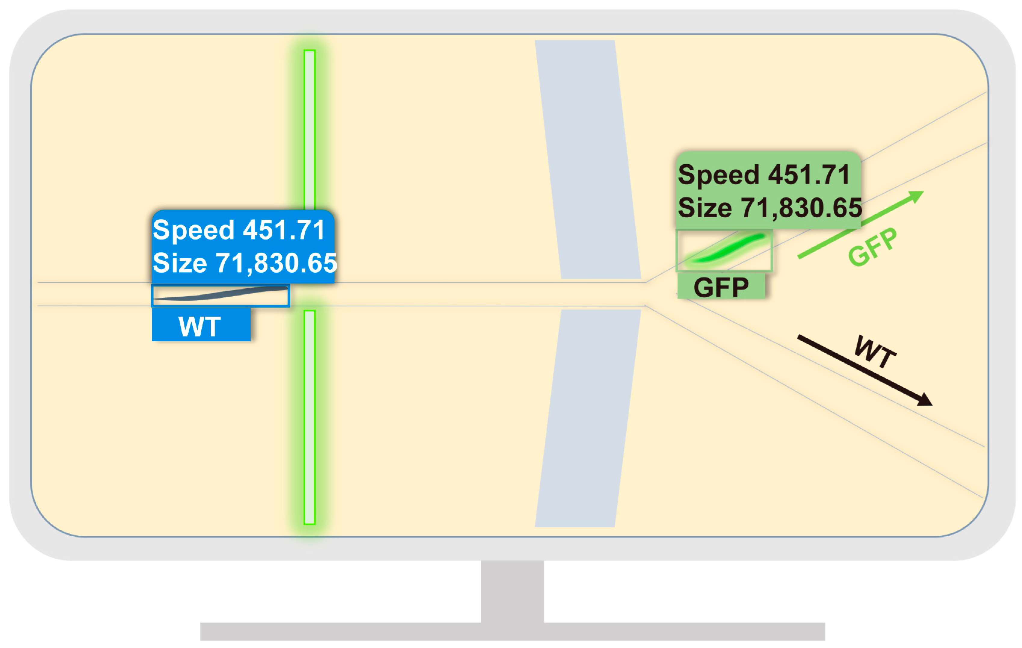 Micromachines 14 01339 g006 Micromachines 14 01339 g006