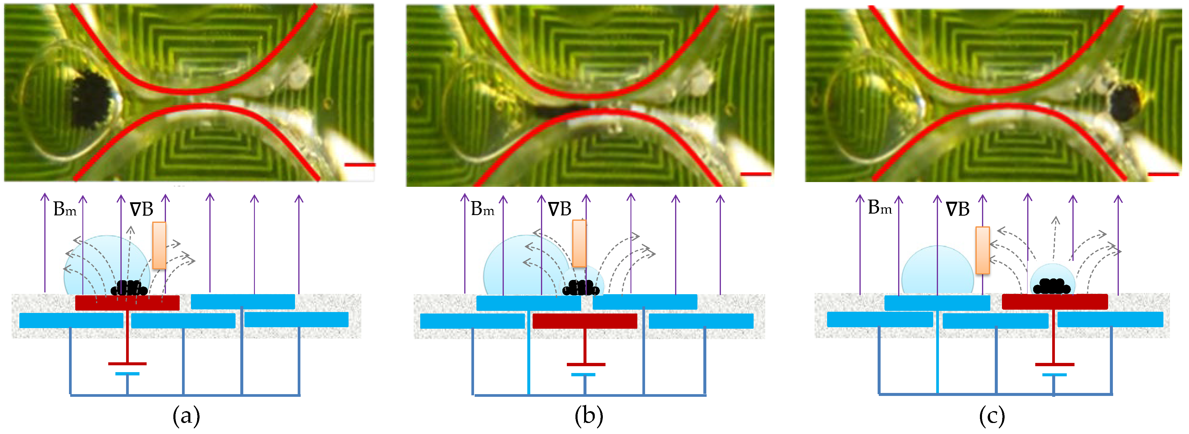 Micromachines 14 01349 g009 Micromachines 14 01349 g009