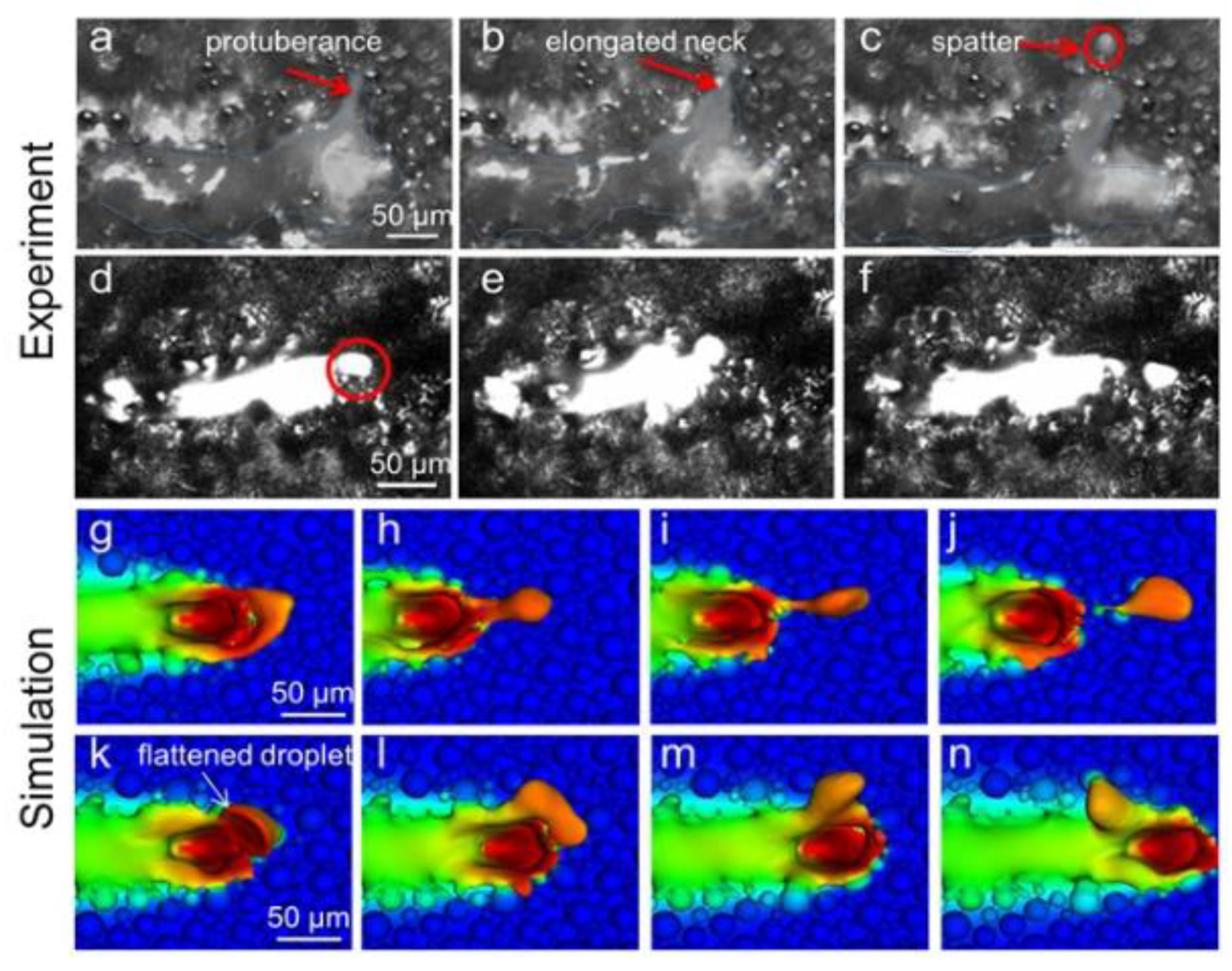 Micromachines 14 01351 g013