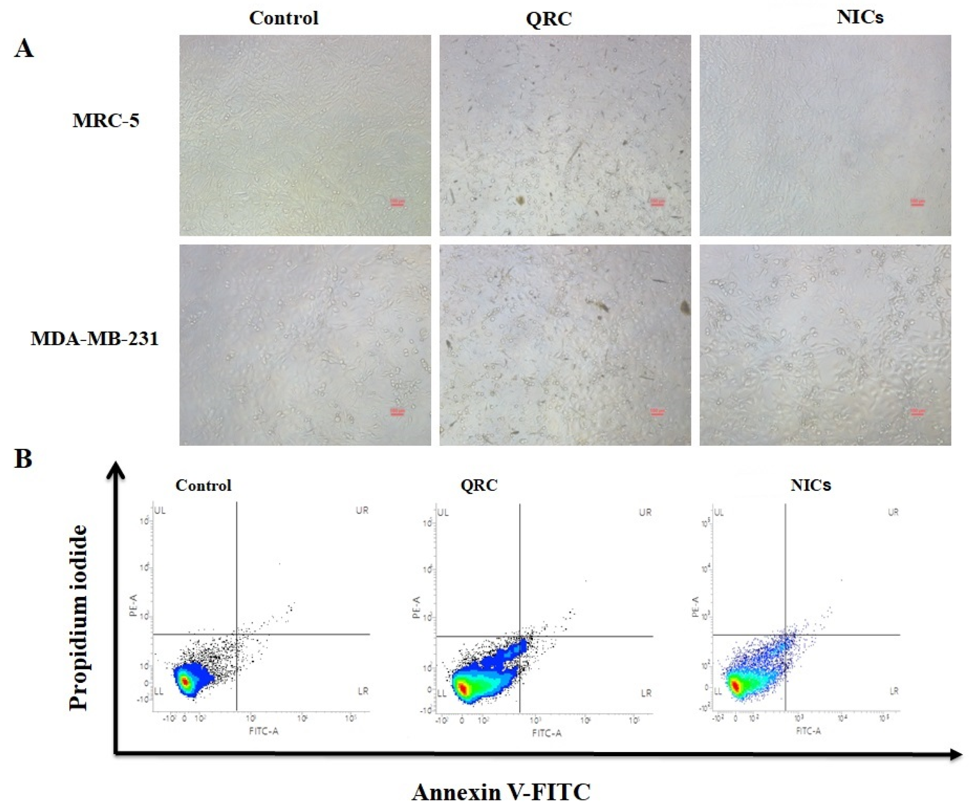 Micromachines 14 01352 g007 Micromachines 14 01352 g007