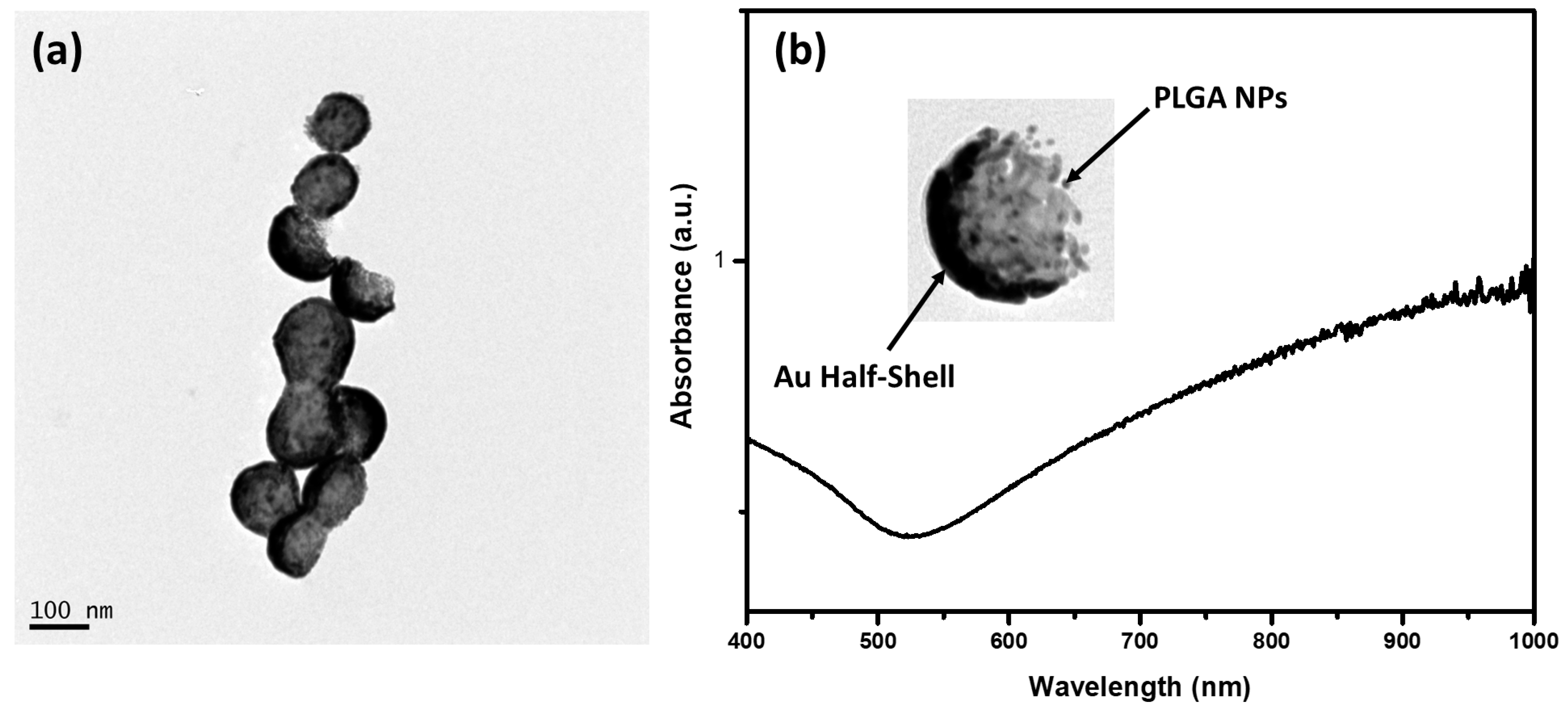 Micromachines 14 01390 g004