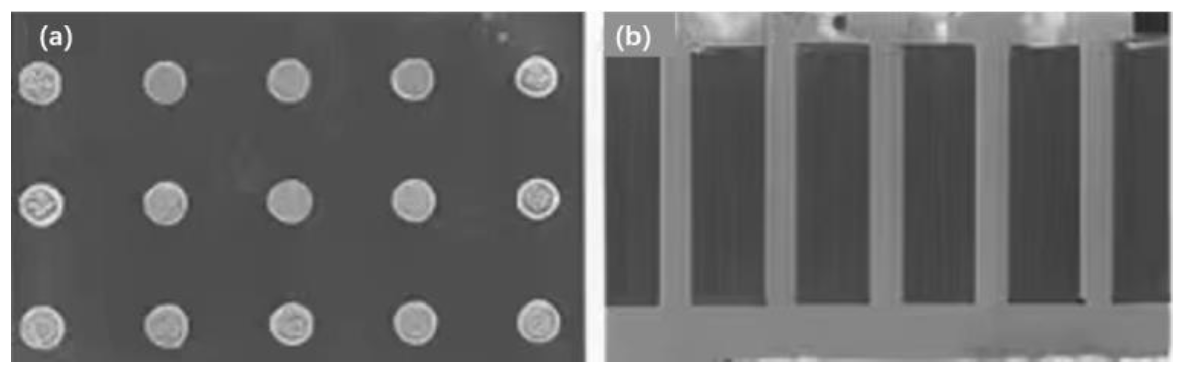 Micromachines 14 01391 g024 Micromachines 14 01391 g024