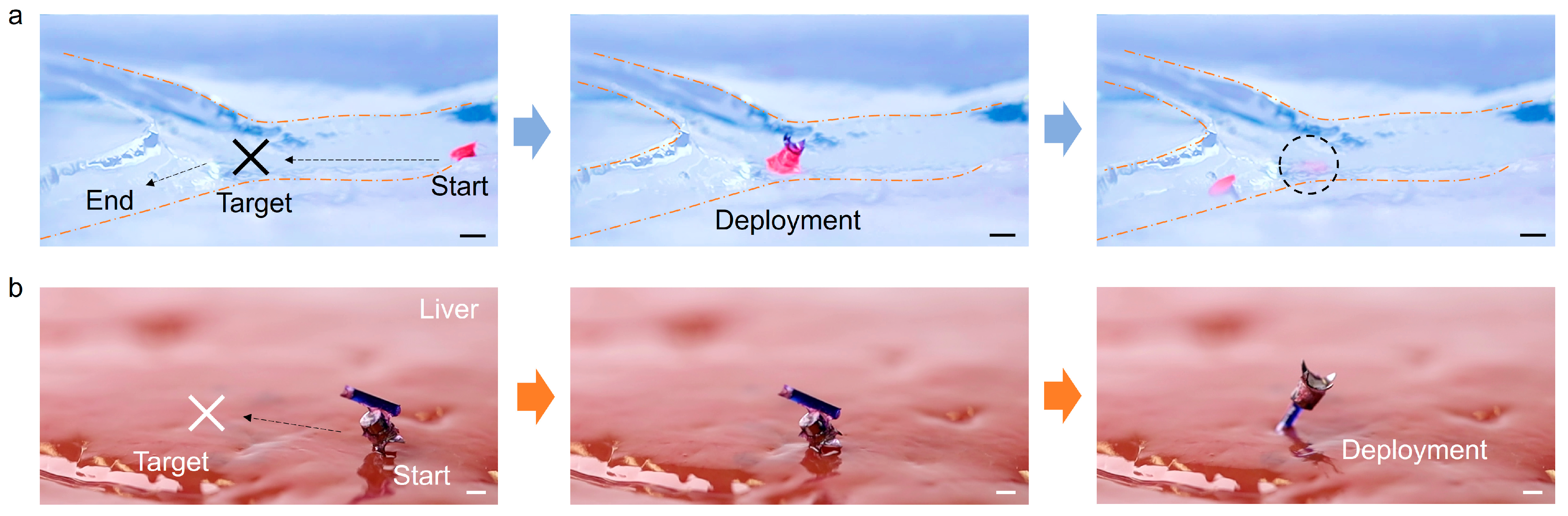 Micromachines 14 01439 g007
