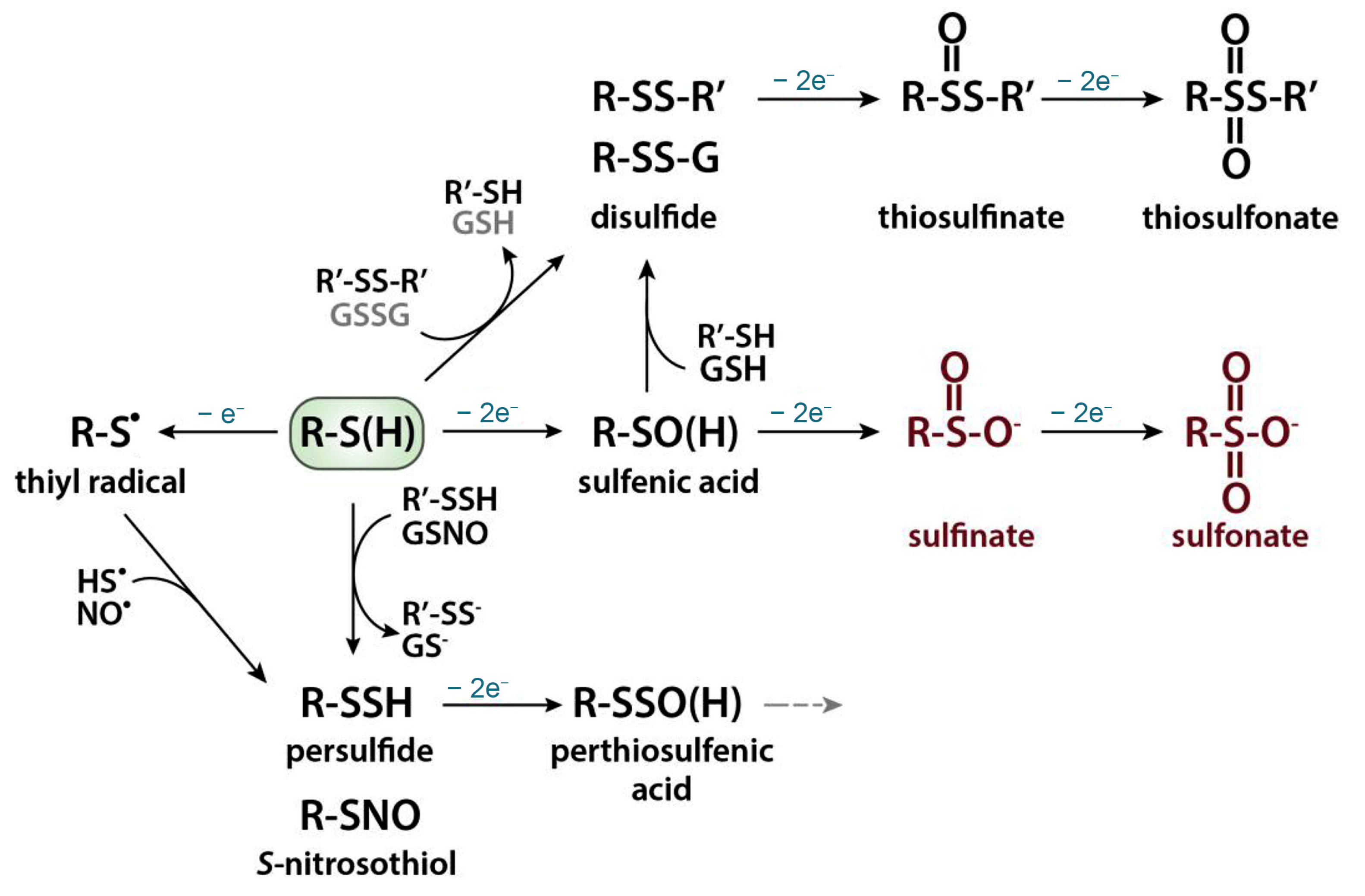 Micromachines 14 01440 sch002