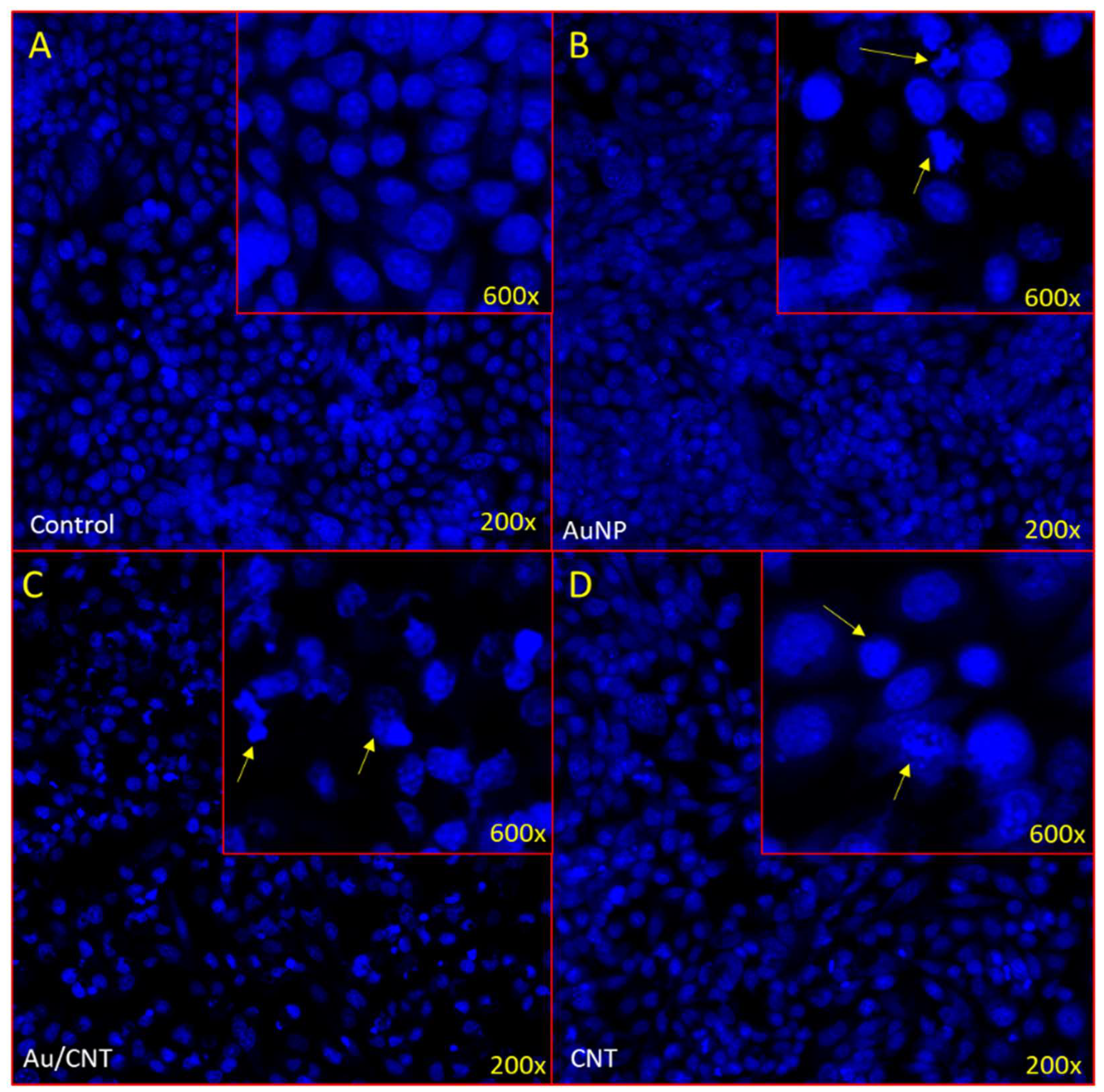 Micromachines 14 01455 g011 Micromachines 14 01455 g011