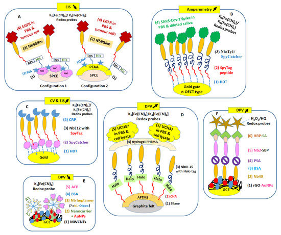 Micromachines 14 01486 g003