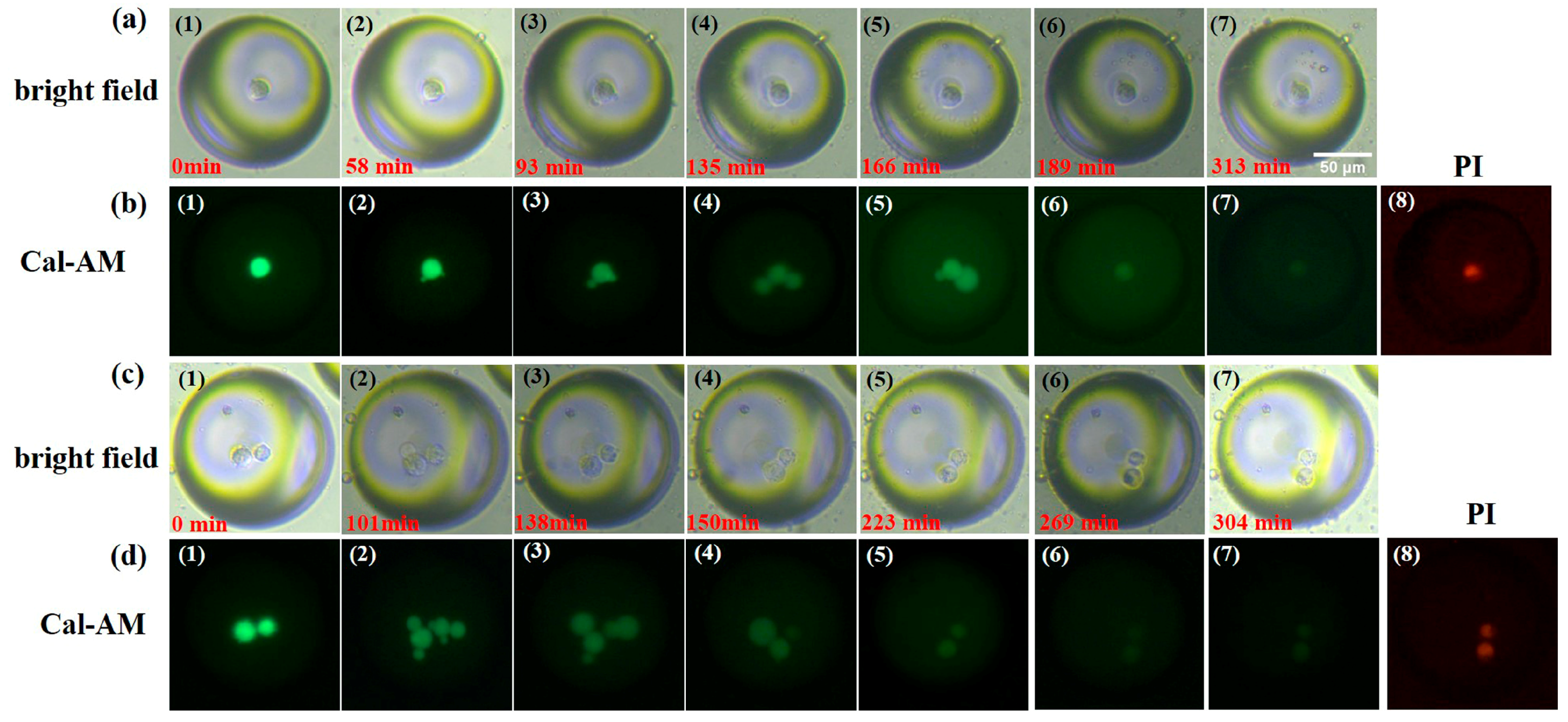 Micromachines 14 01521 g006