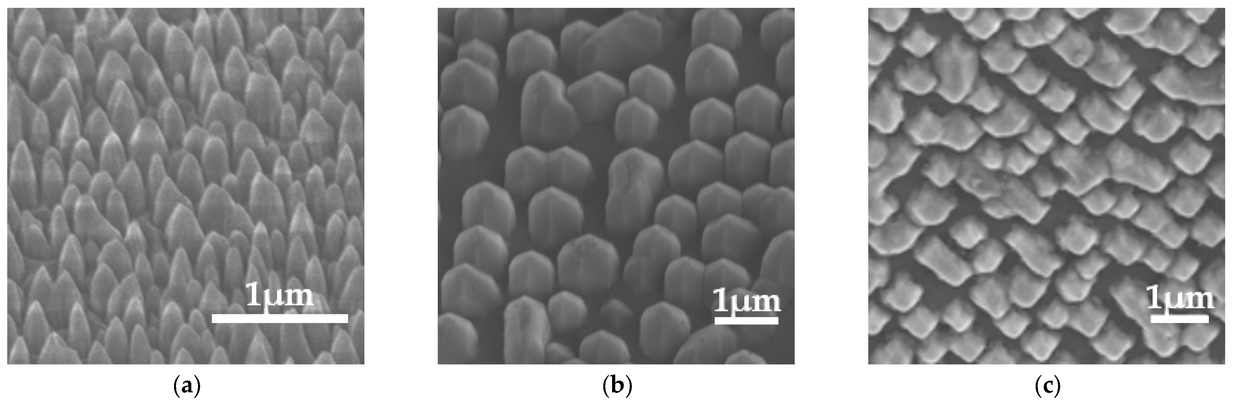 Micromachines 14 01559 g005