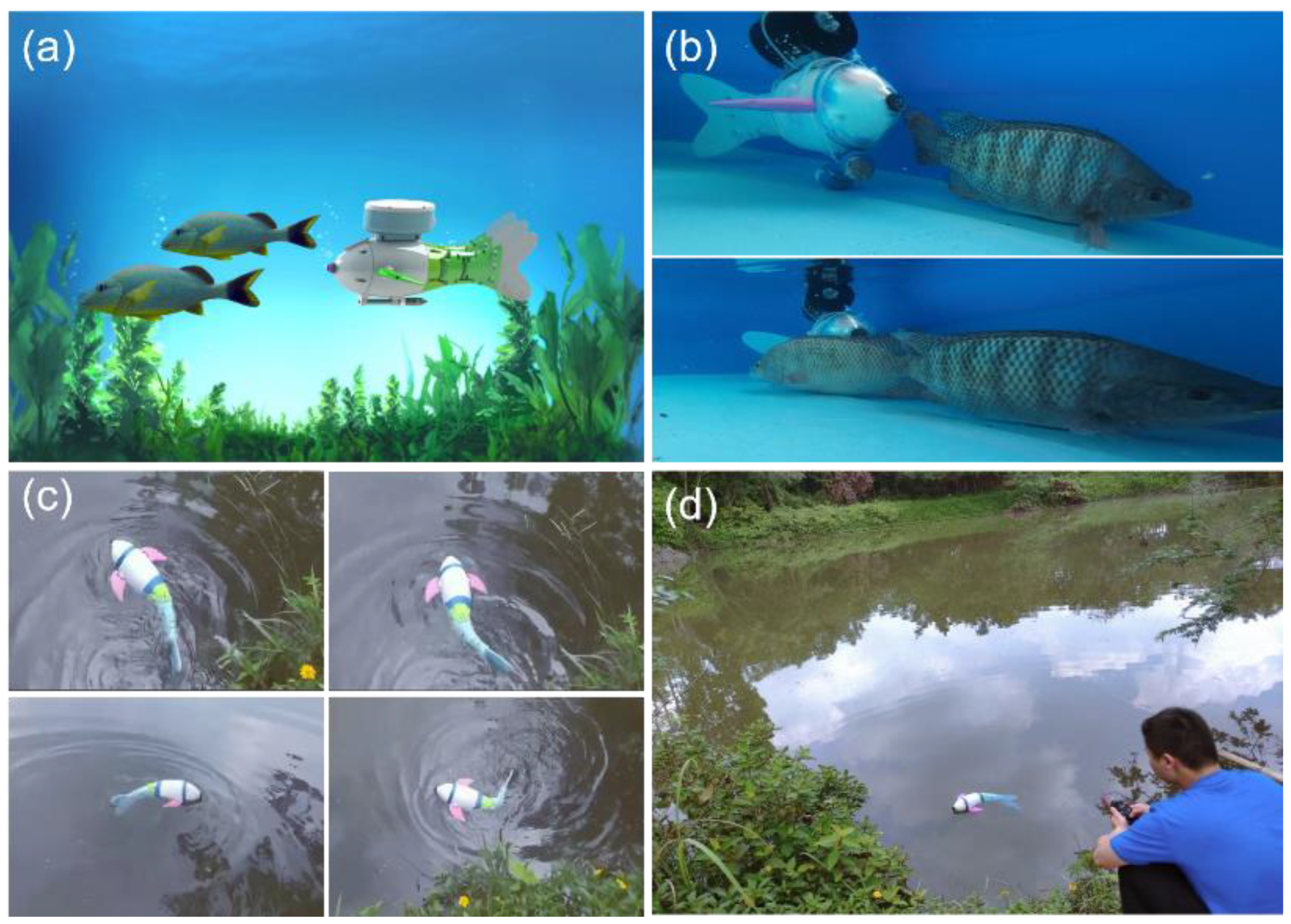 Micromachines 14 01578 g005