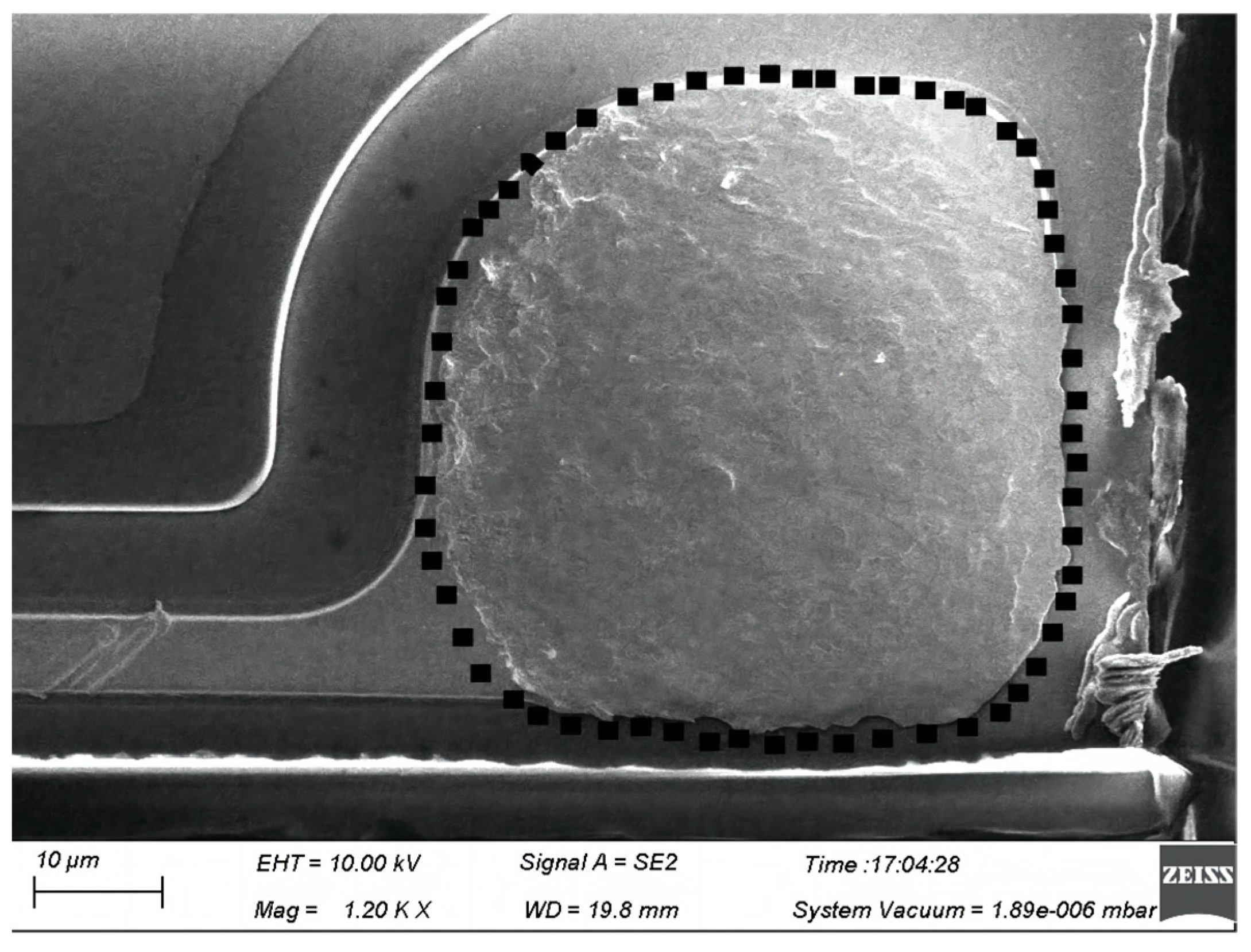 Micromachines 14 01587 g018