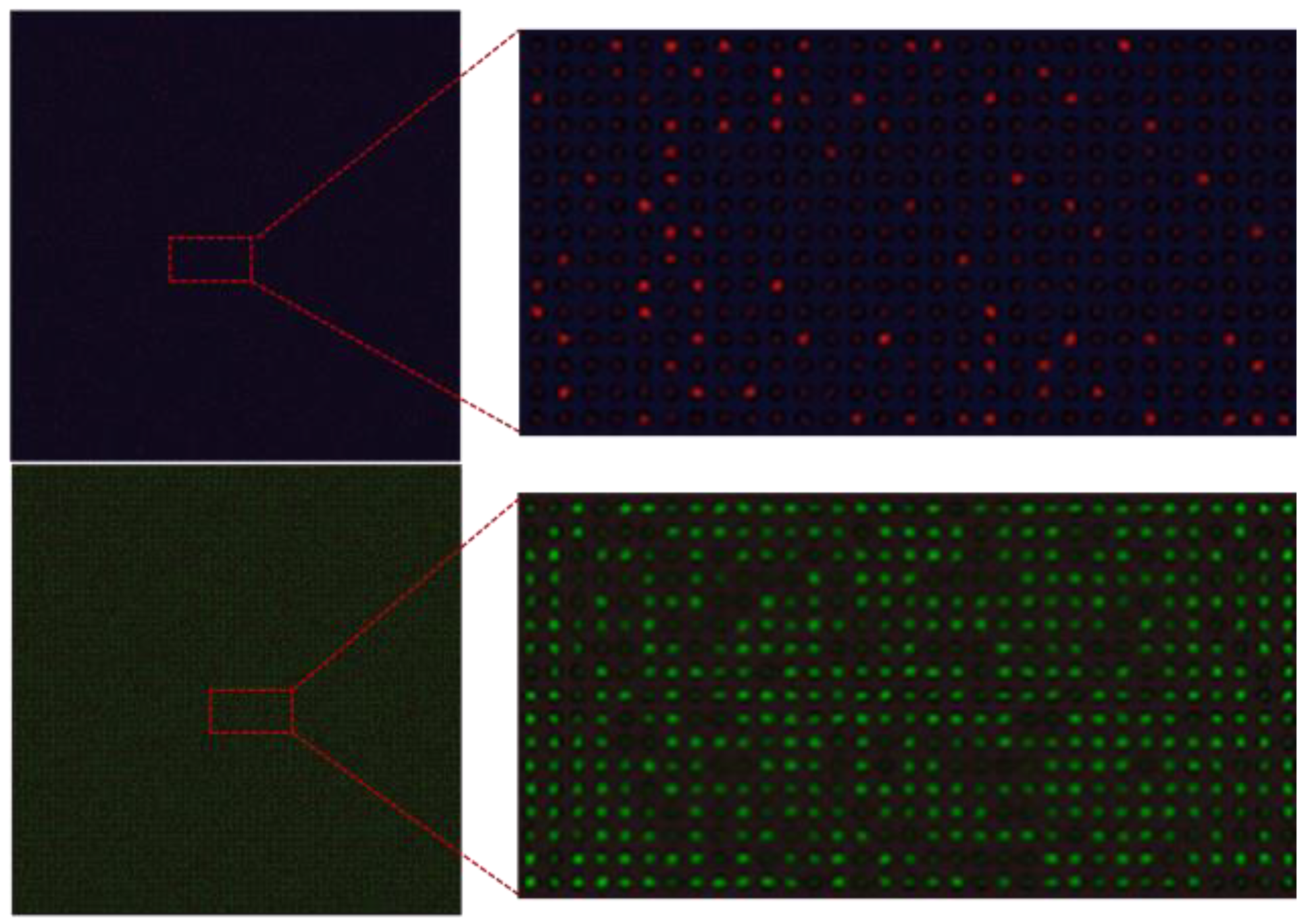 Micromachines 14 01619 g005