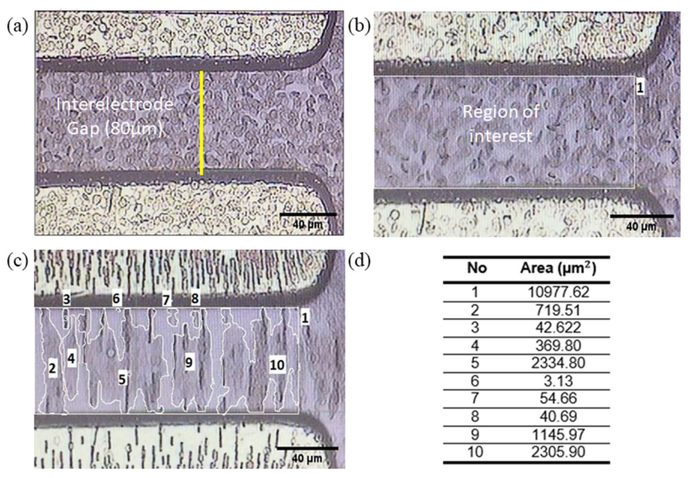 Micromachines 14 01625 g004