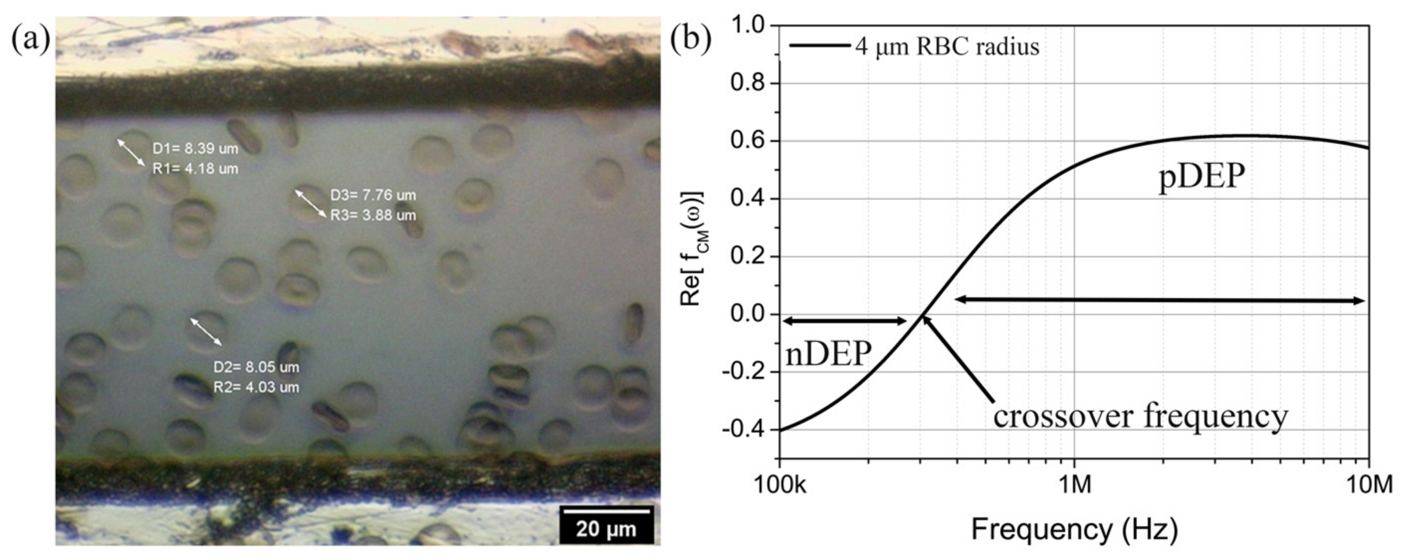 Micromachines 14 01625 g005