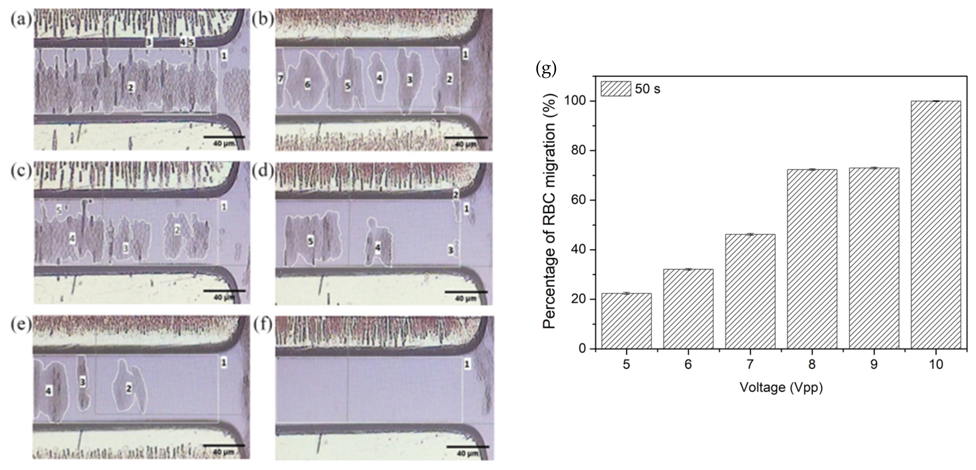Micromachines 14 01625 g007
