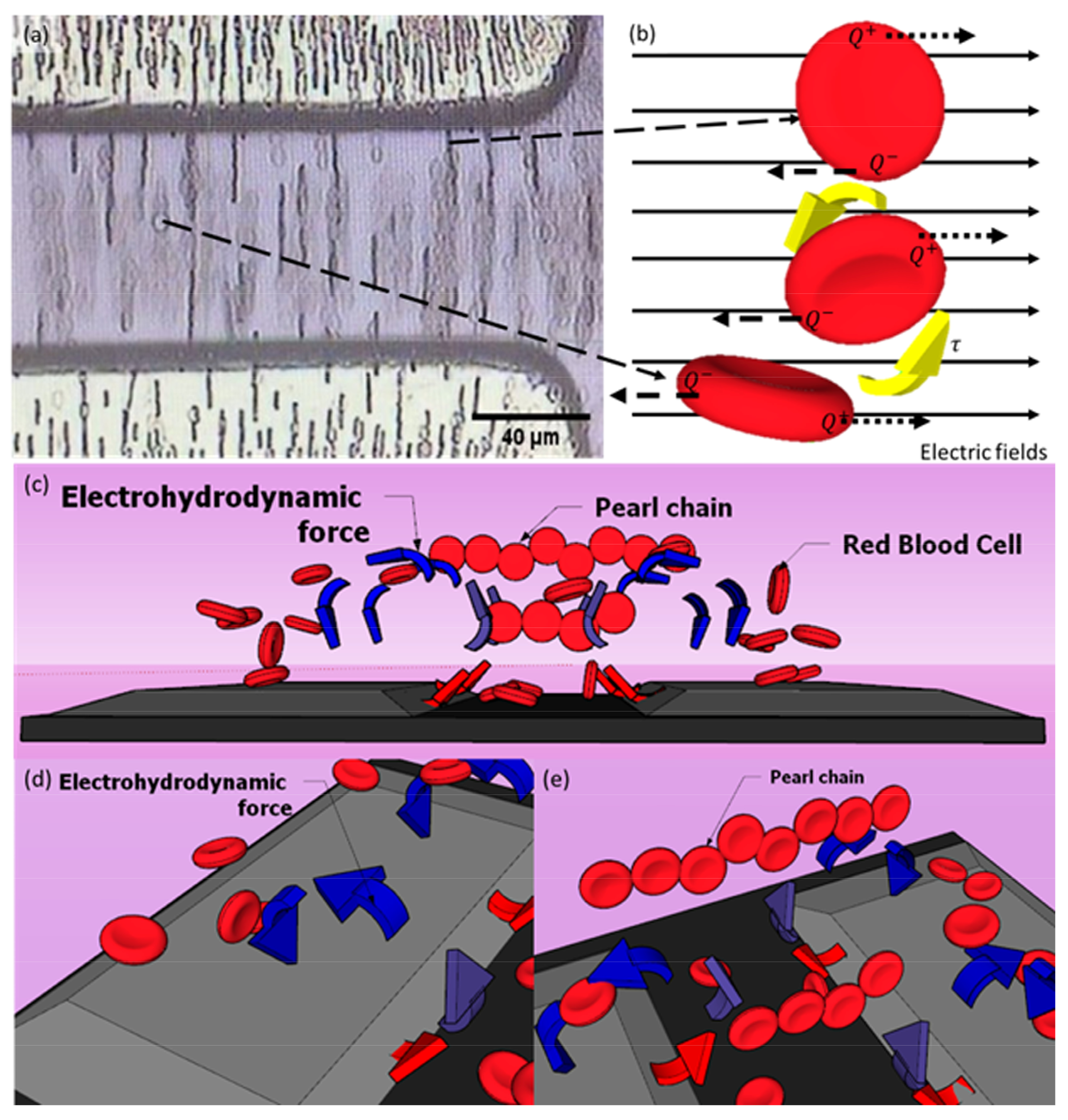 Micromachines 14 01625 g008