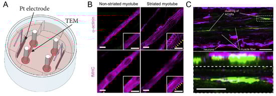 Micromachines 14 01643 g004