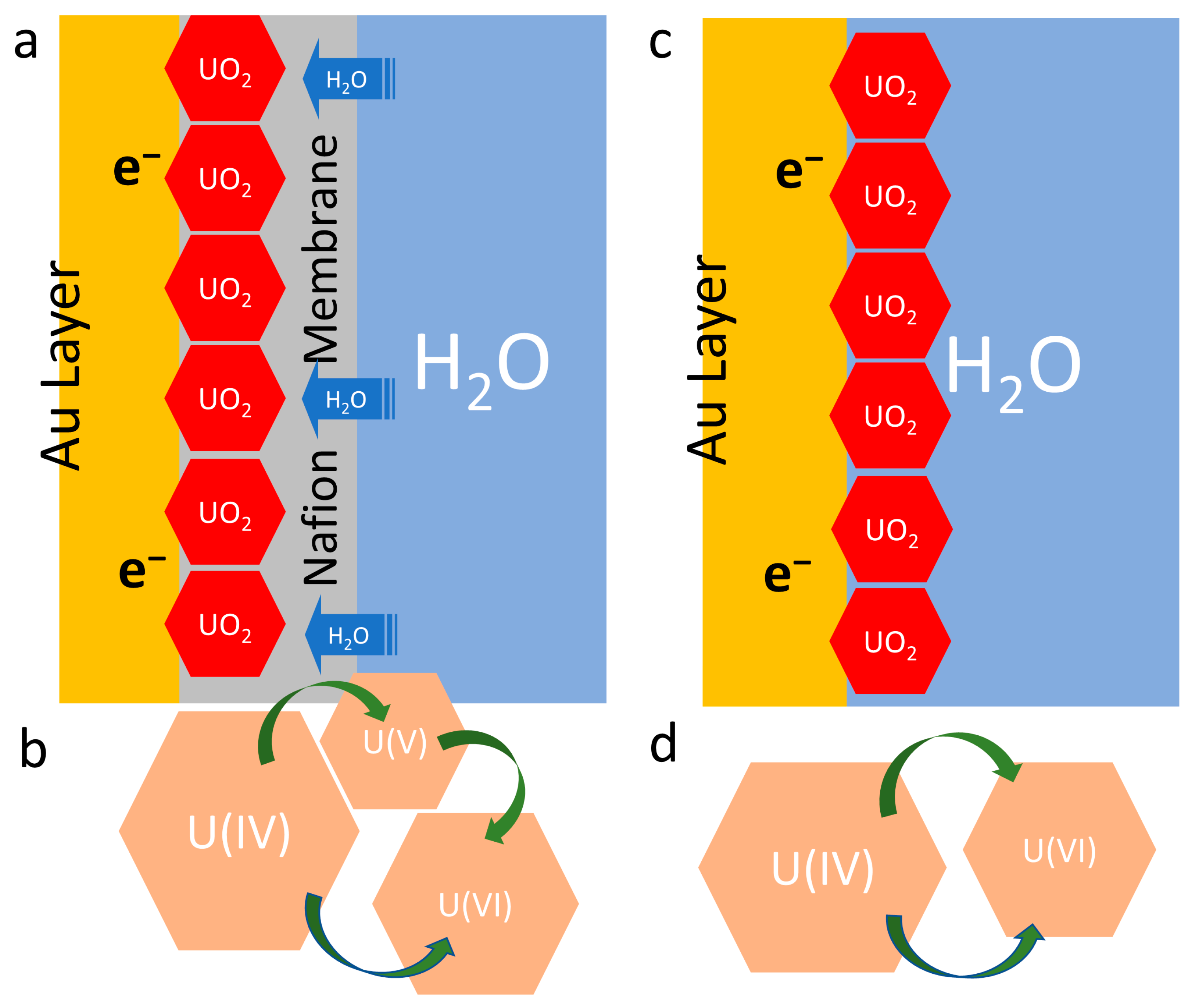 Micromachines 14 01727 g005