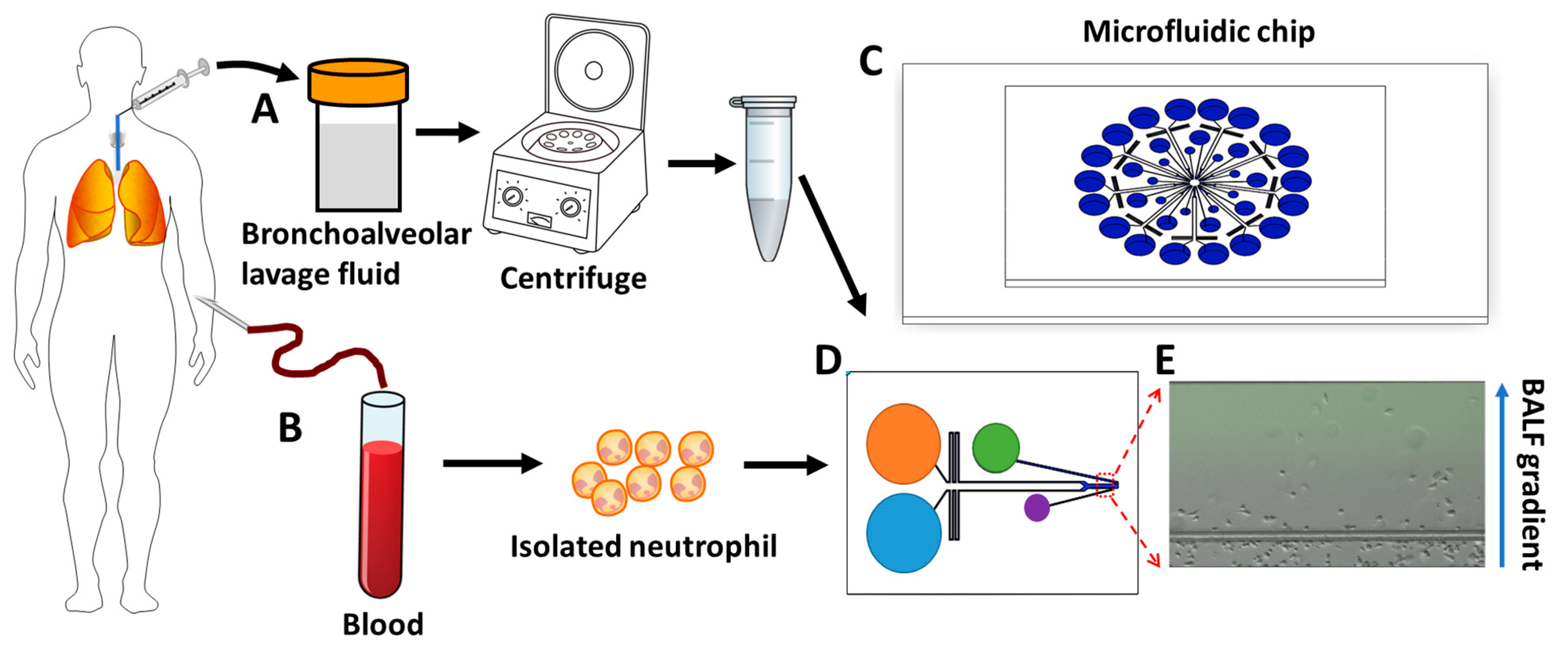 Micromachines 14 01740 g001