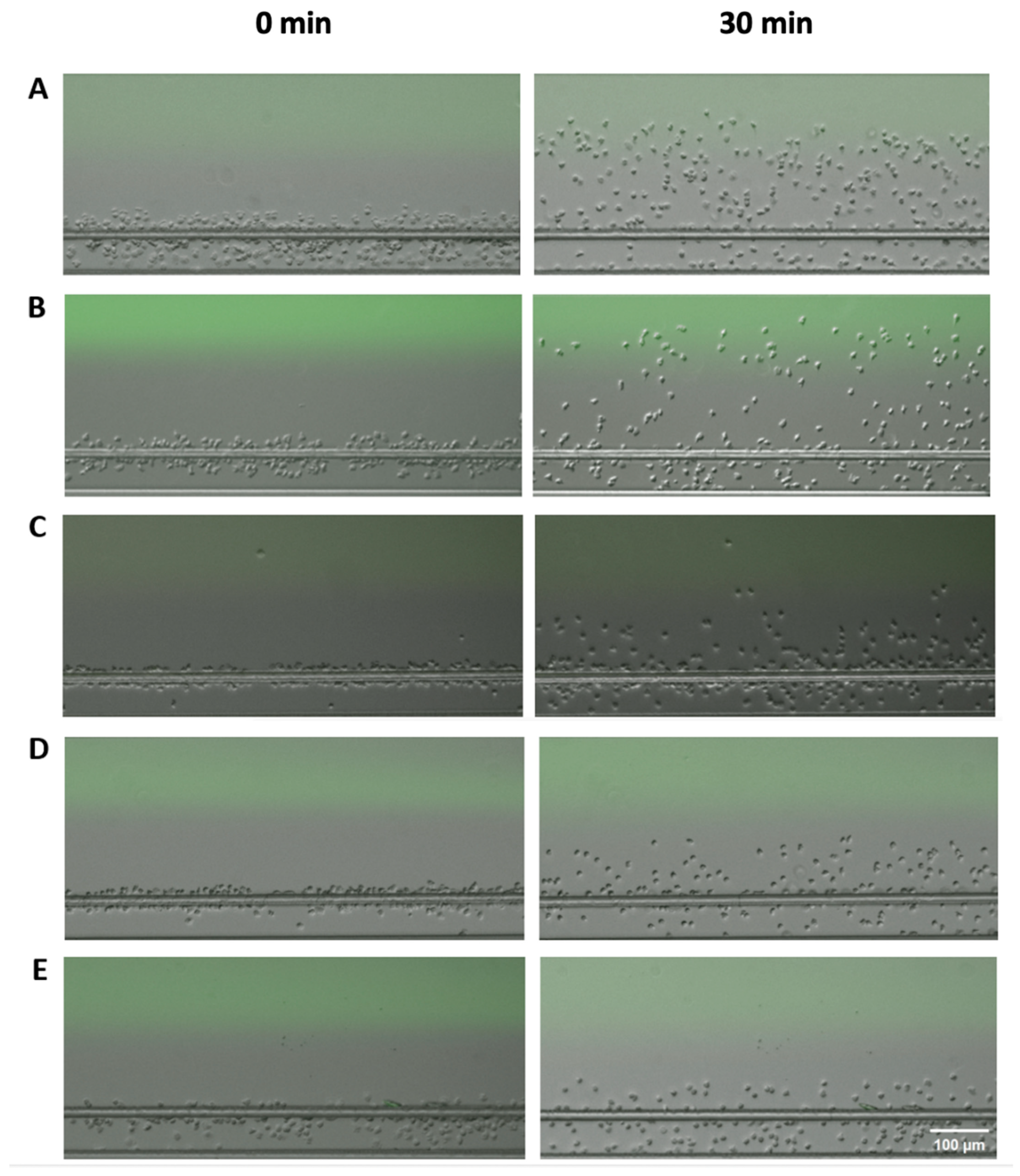 Micromachines 14 01740 g002