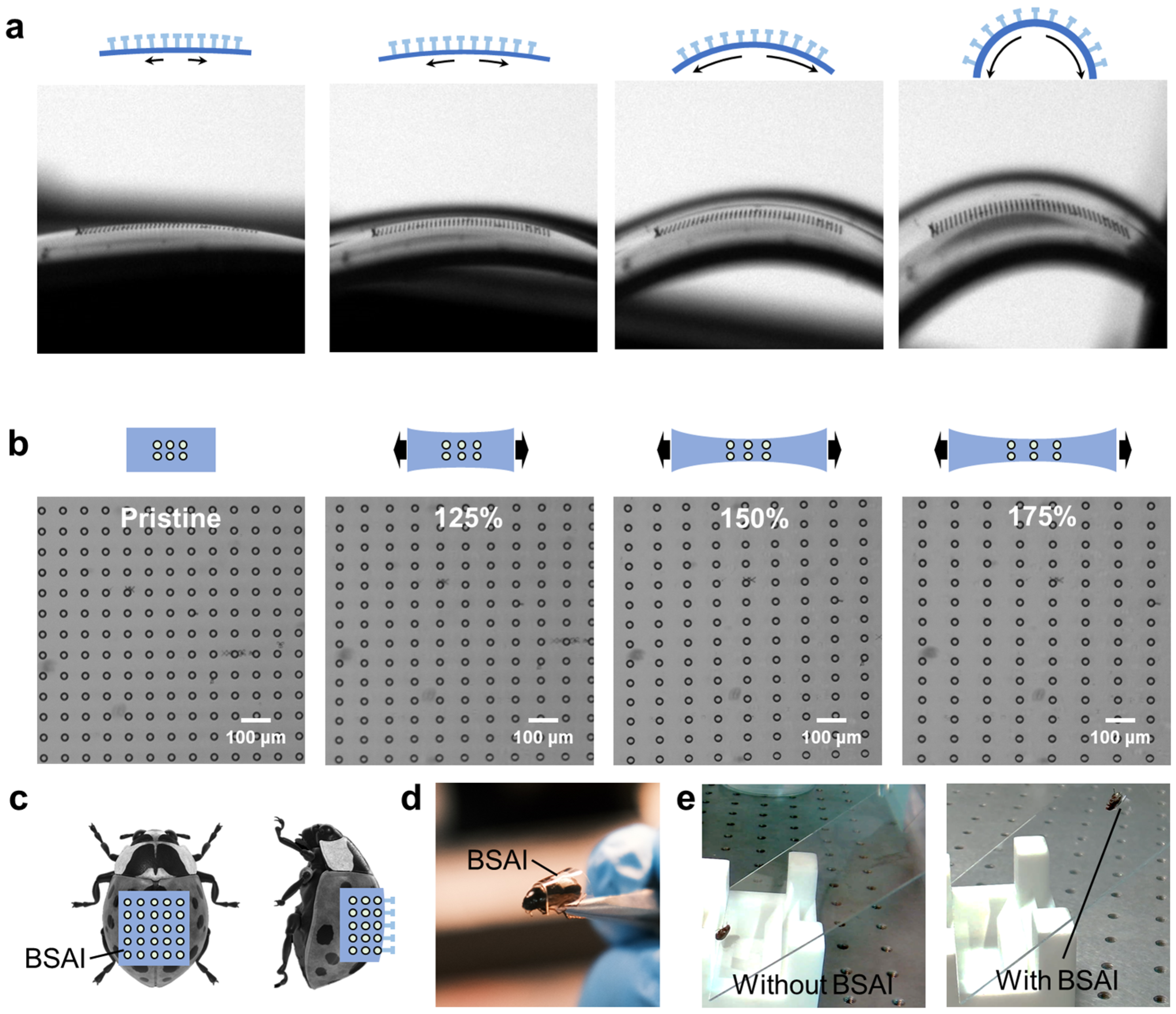 Micromachines 14 01742 g003