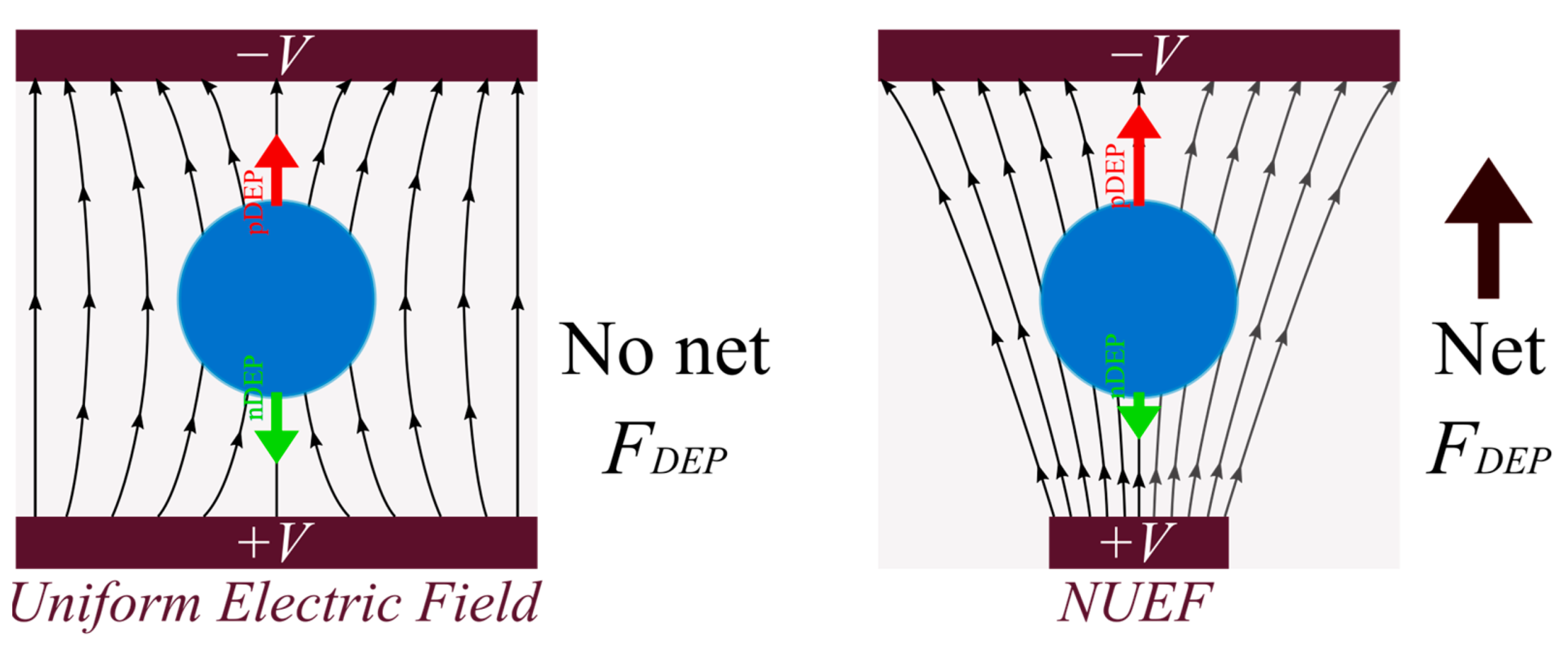 Micromachines 14 01769 g001