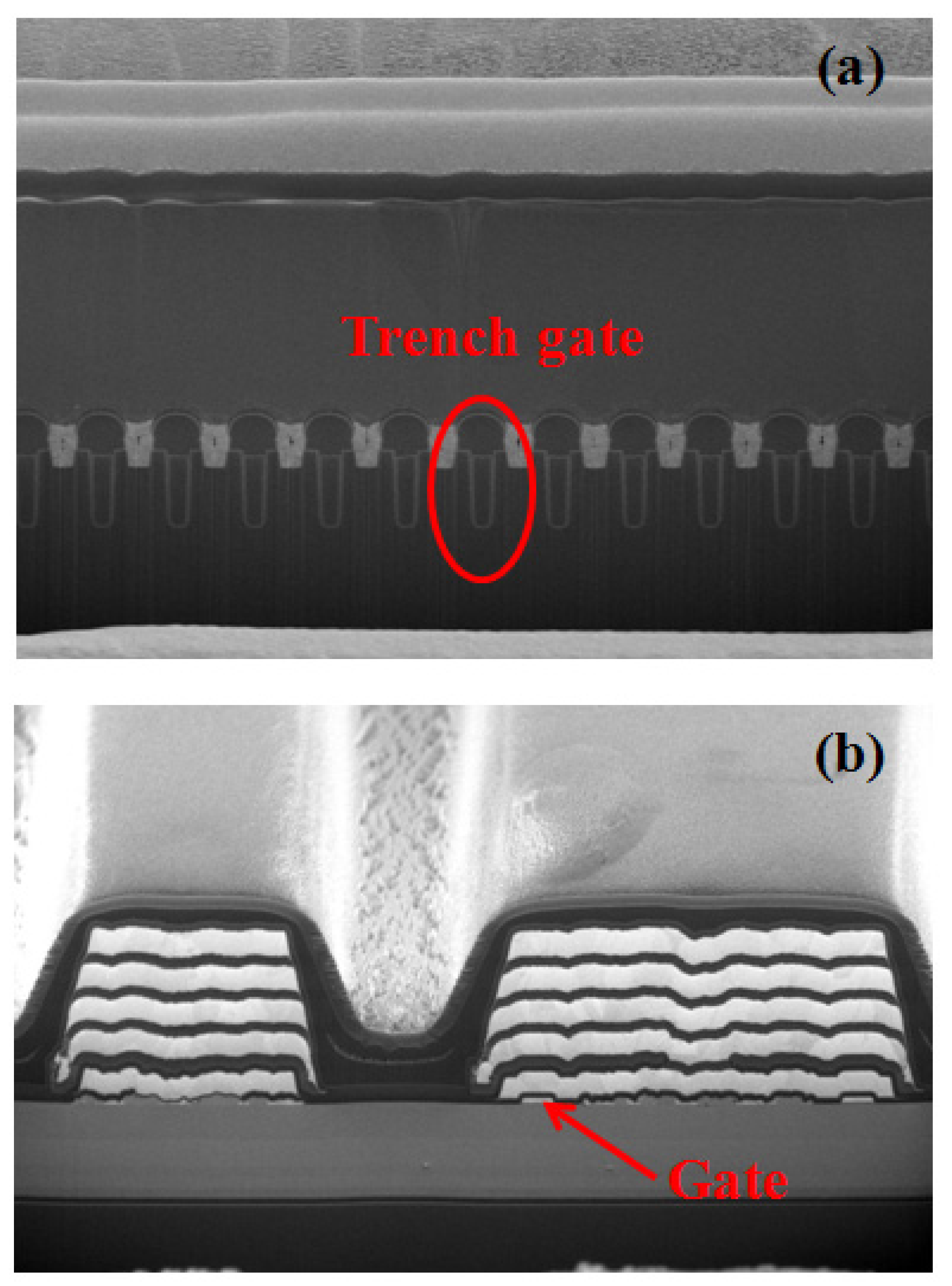 Micromachines 14 01832 g003