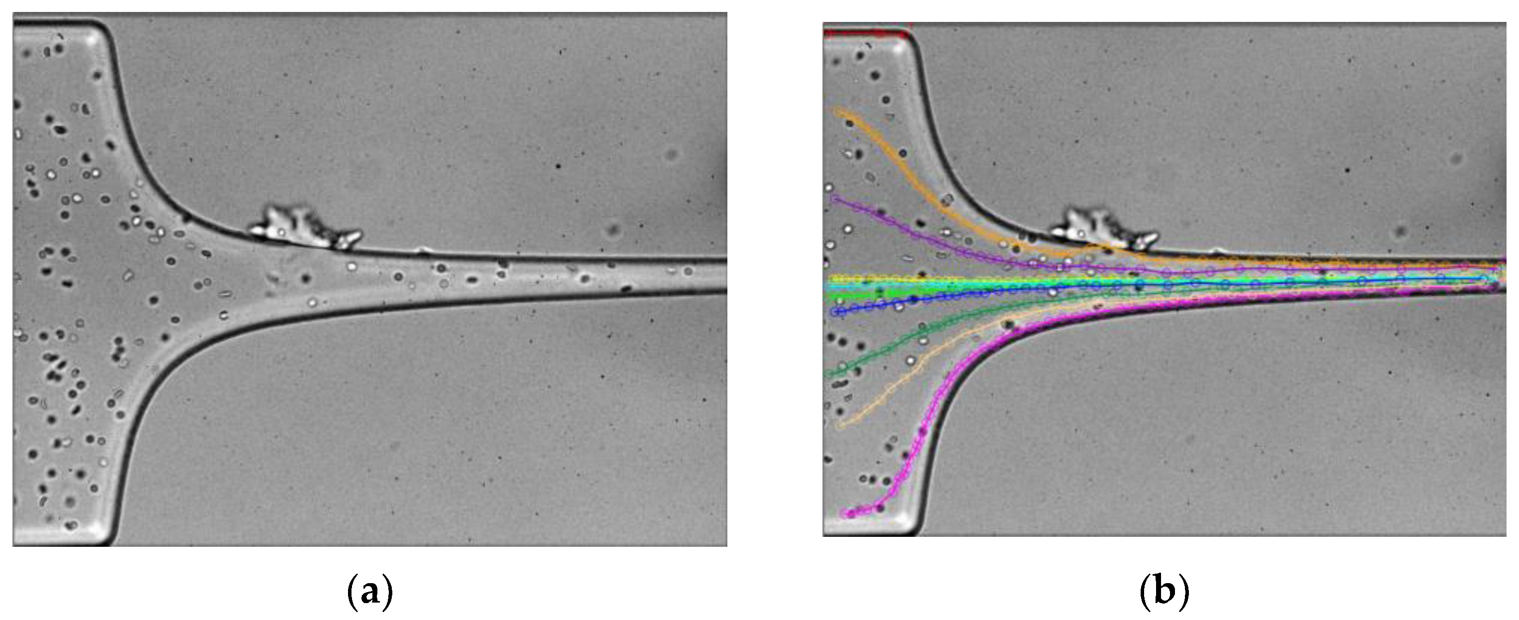 Micromachines 14 01886 g003