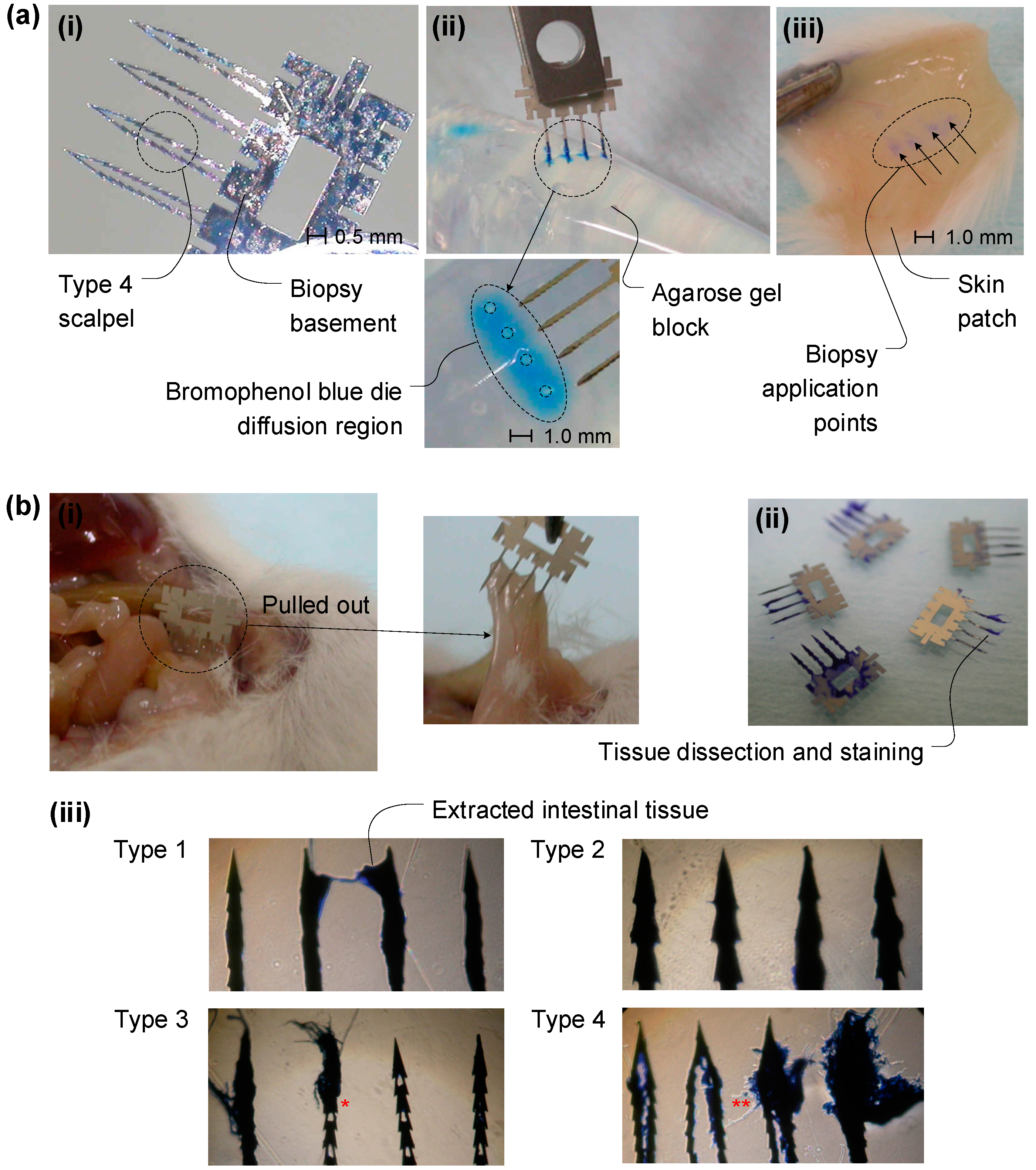 Micromachines 14 01900 g005