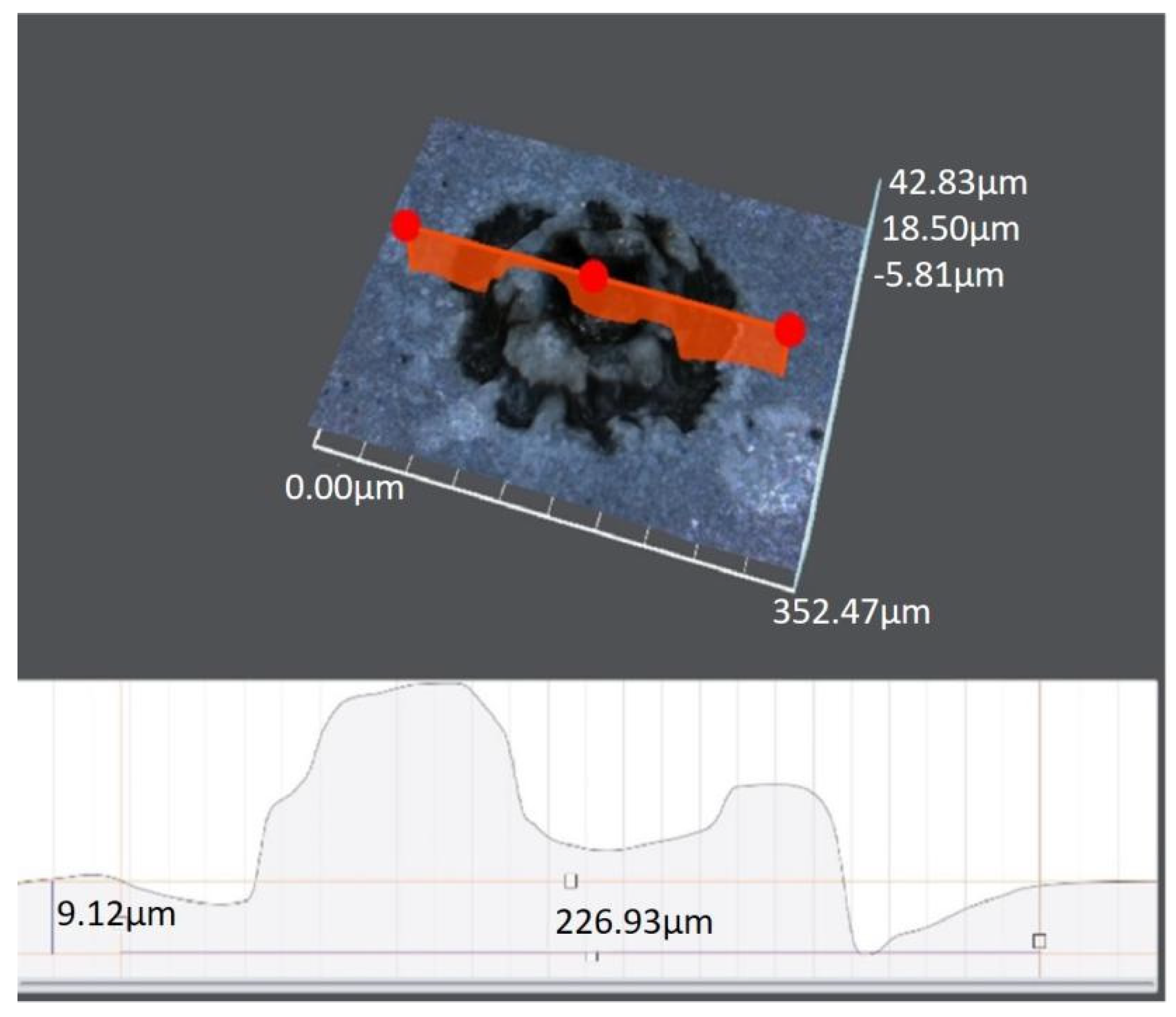 Micromachines 14 01919 g010