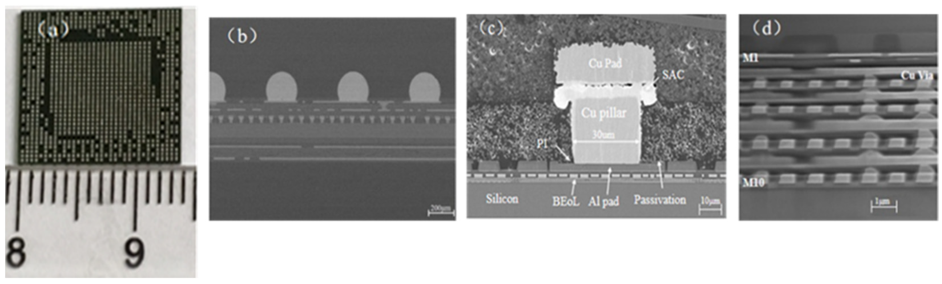 Micromachines 14 01953 g001