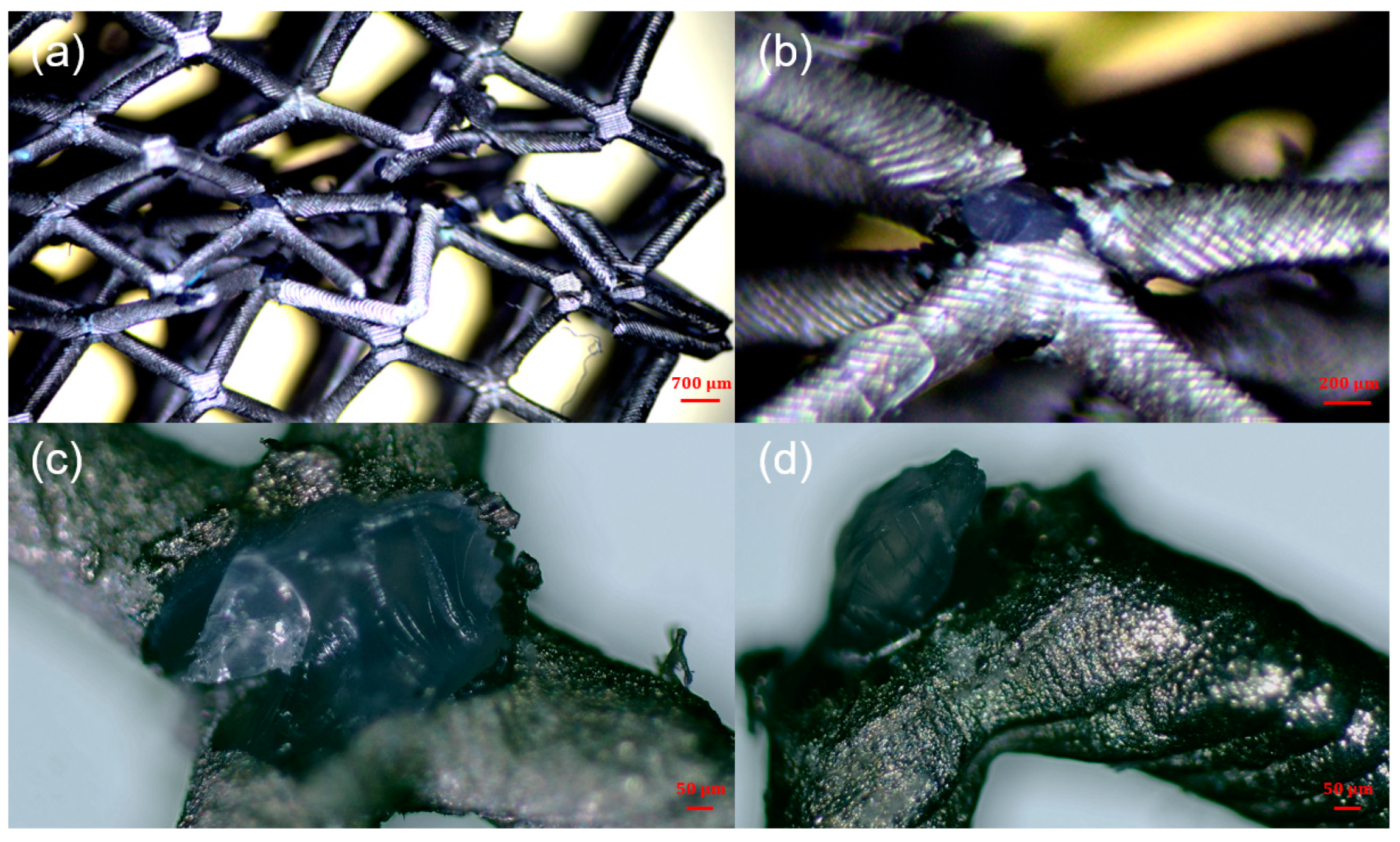 Micromachines 14 01959 g011
