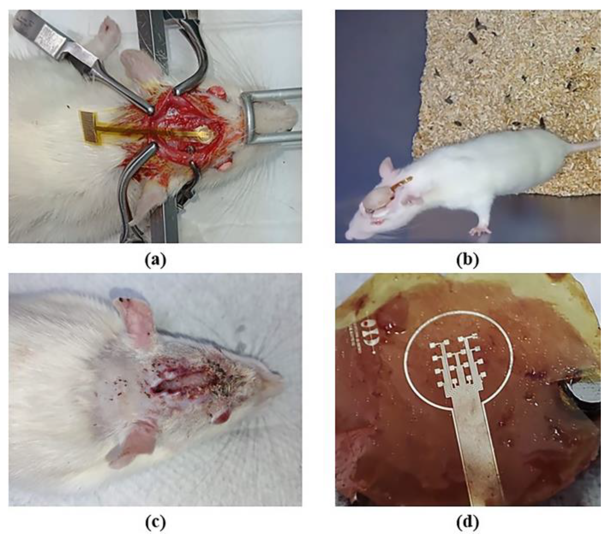 Micromachines 14 01999 g008