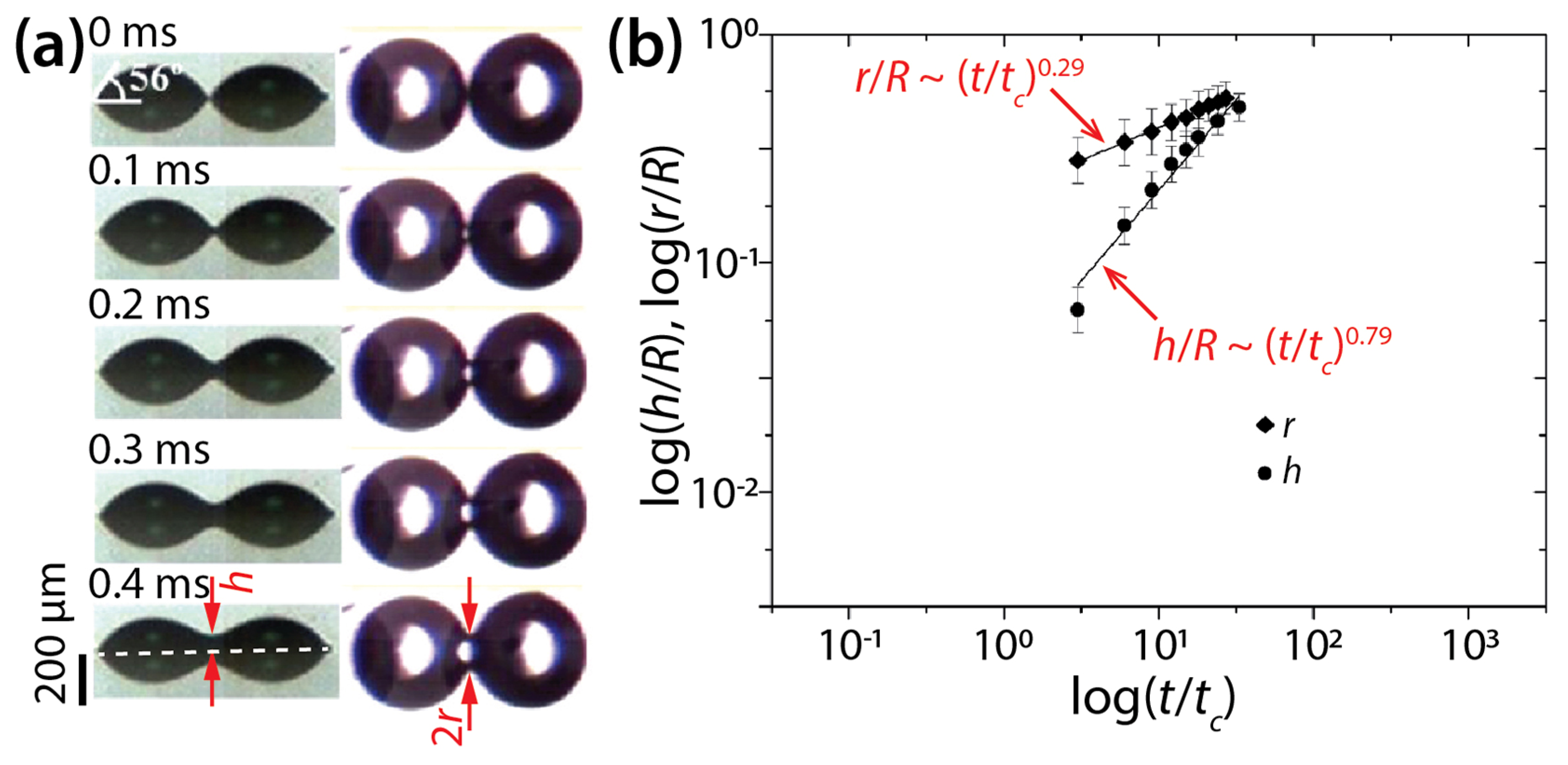 Micromachines 14 02046 g006
