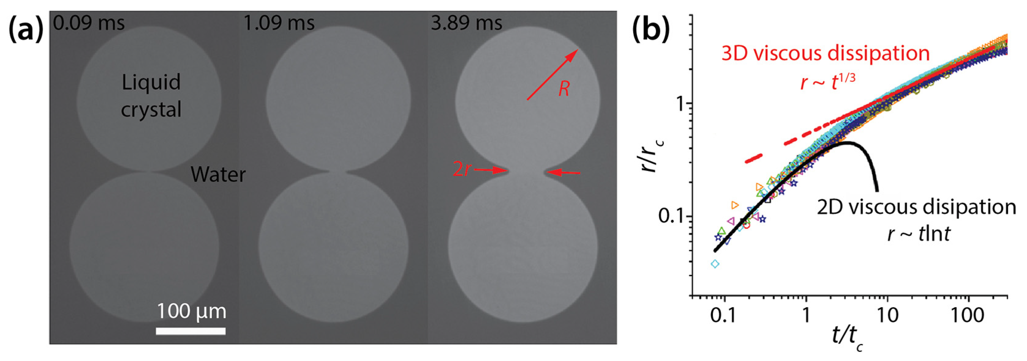 Micromachines 14 02046 g012