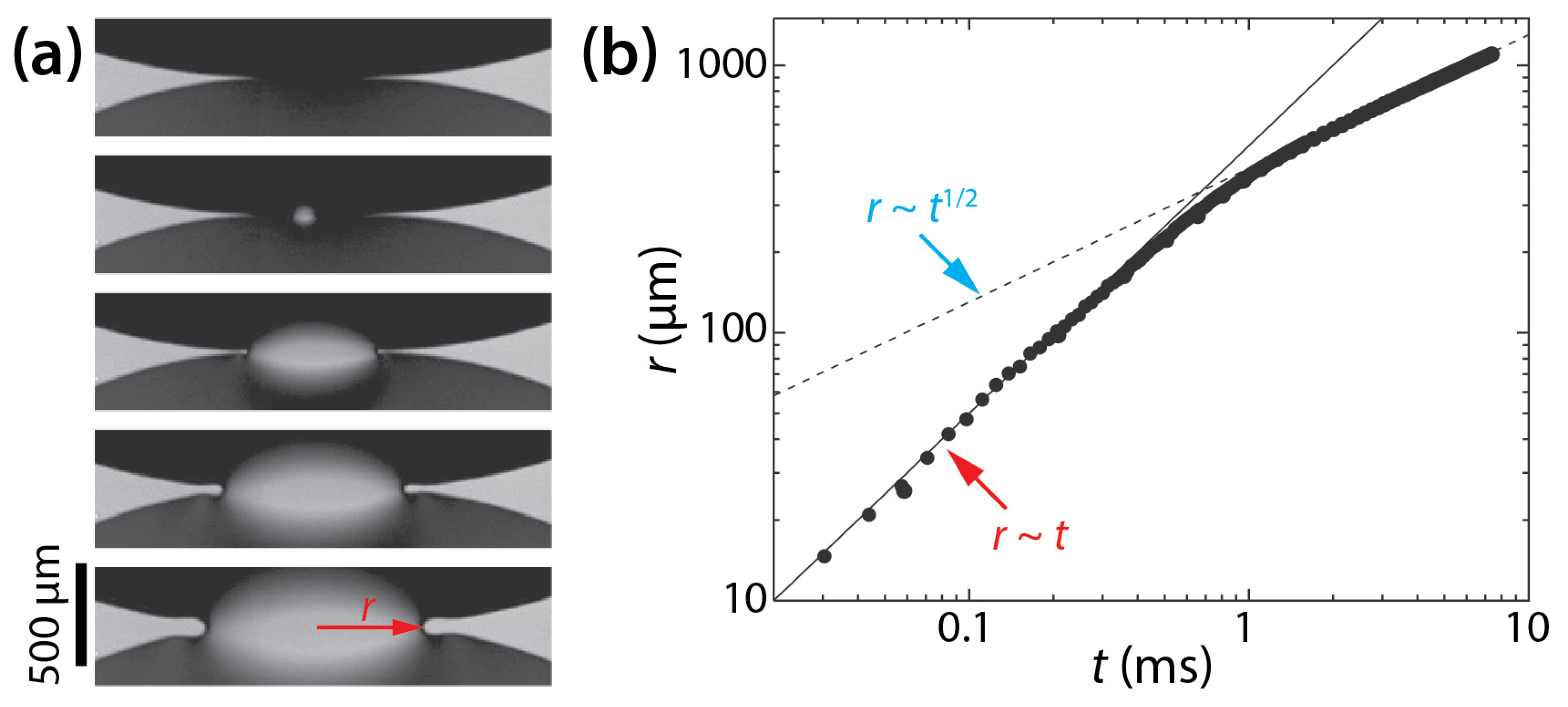 Micromachines 14 02046 g013