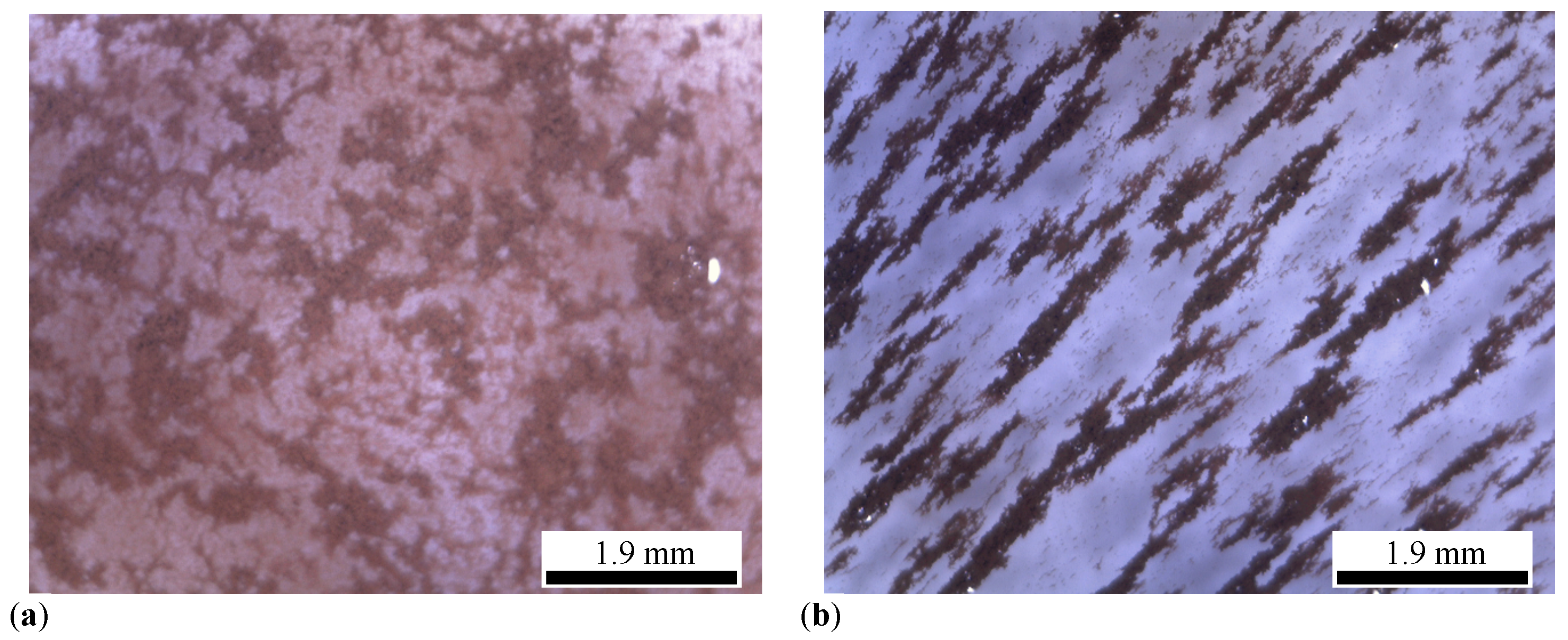 Micromachines 14 02061 g003