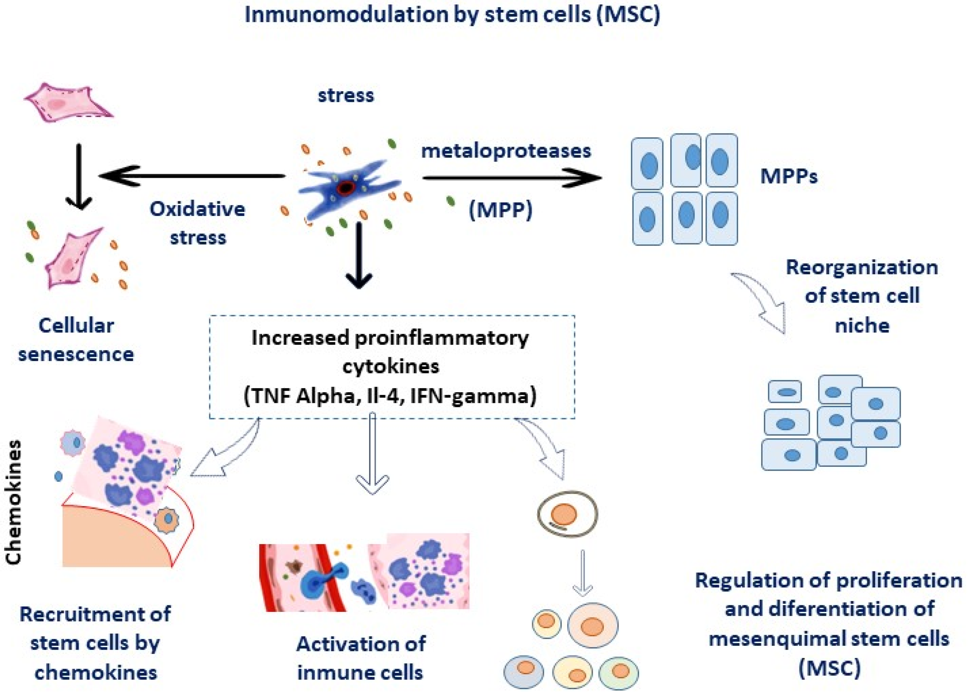 Micromachines 14 02068 g002