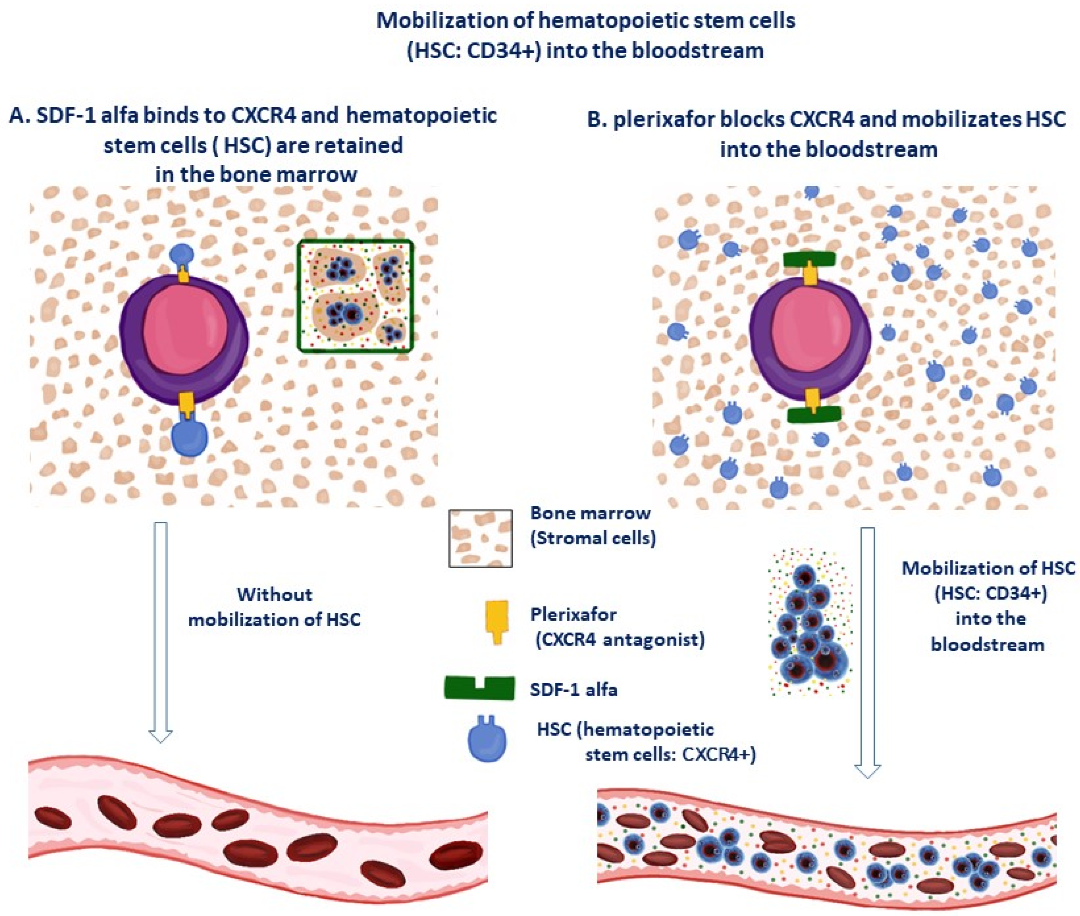 Micromachines 14 02068 g003