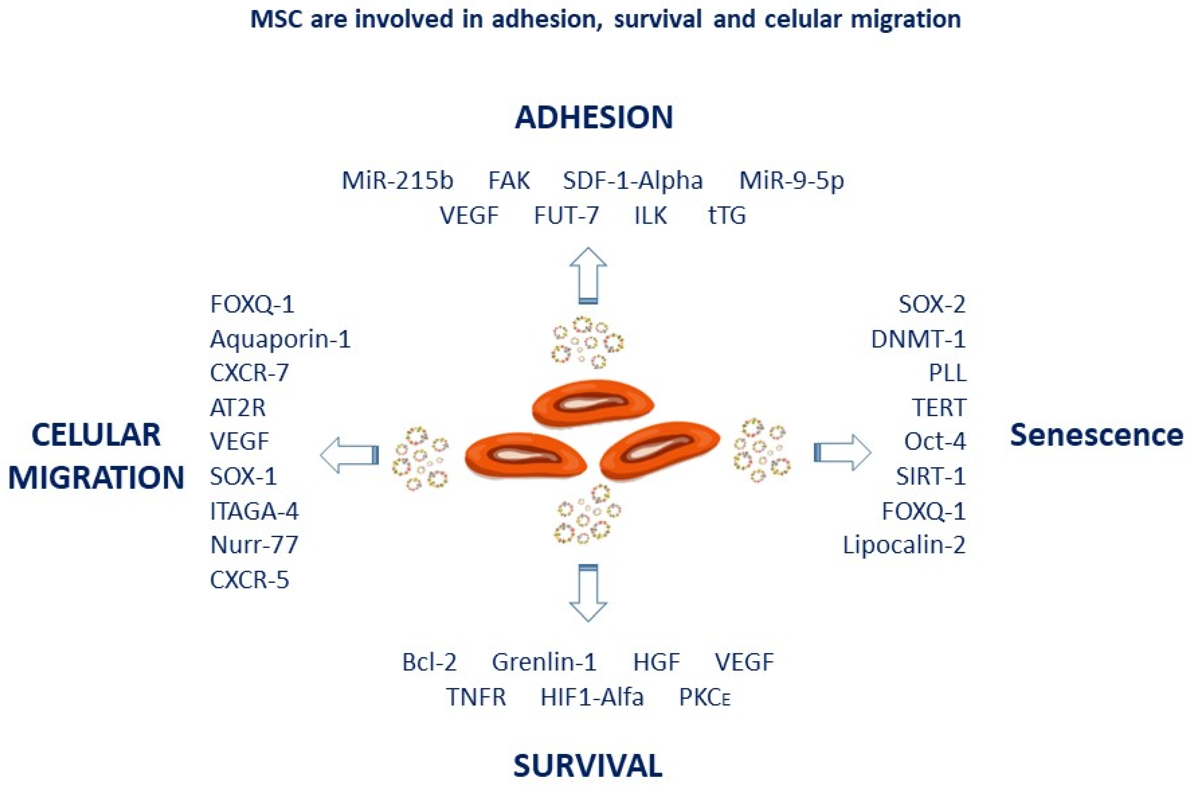 Micromachines 14 02068 g004