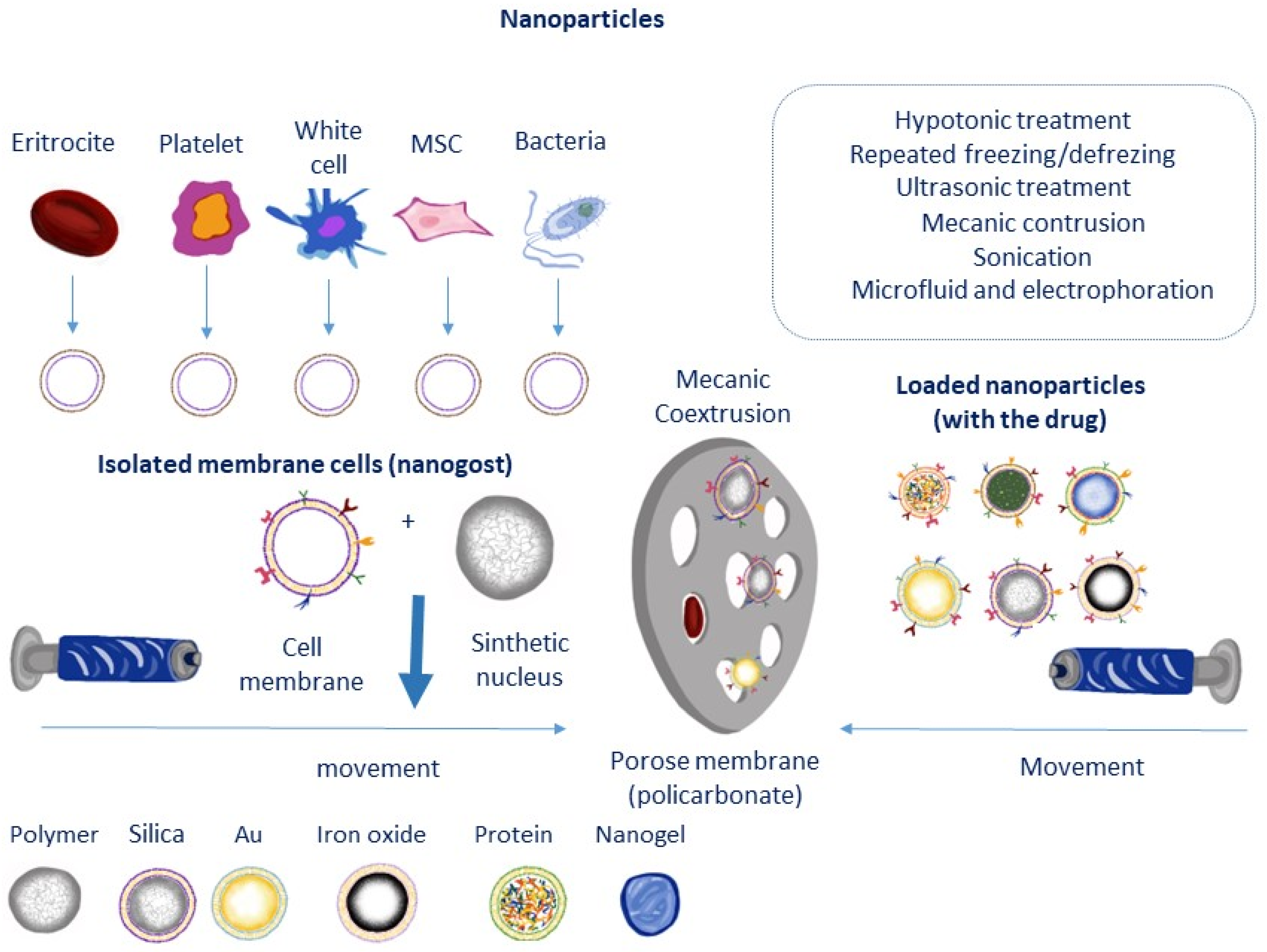 Micromachines 14 02068 g005