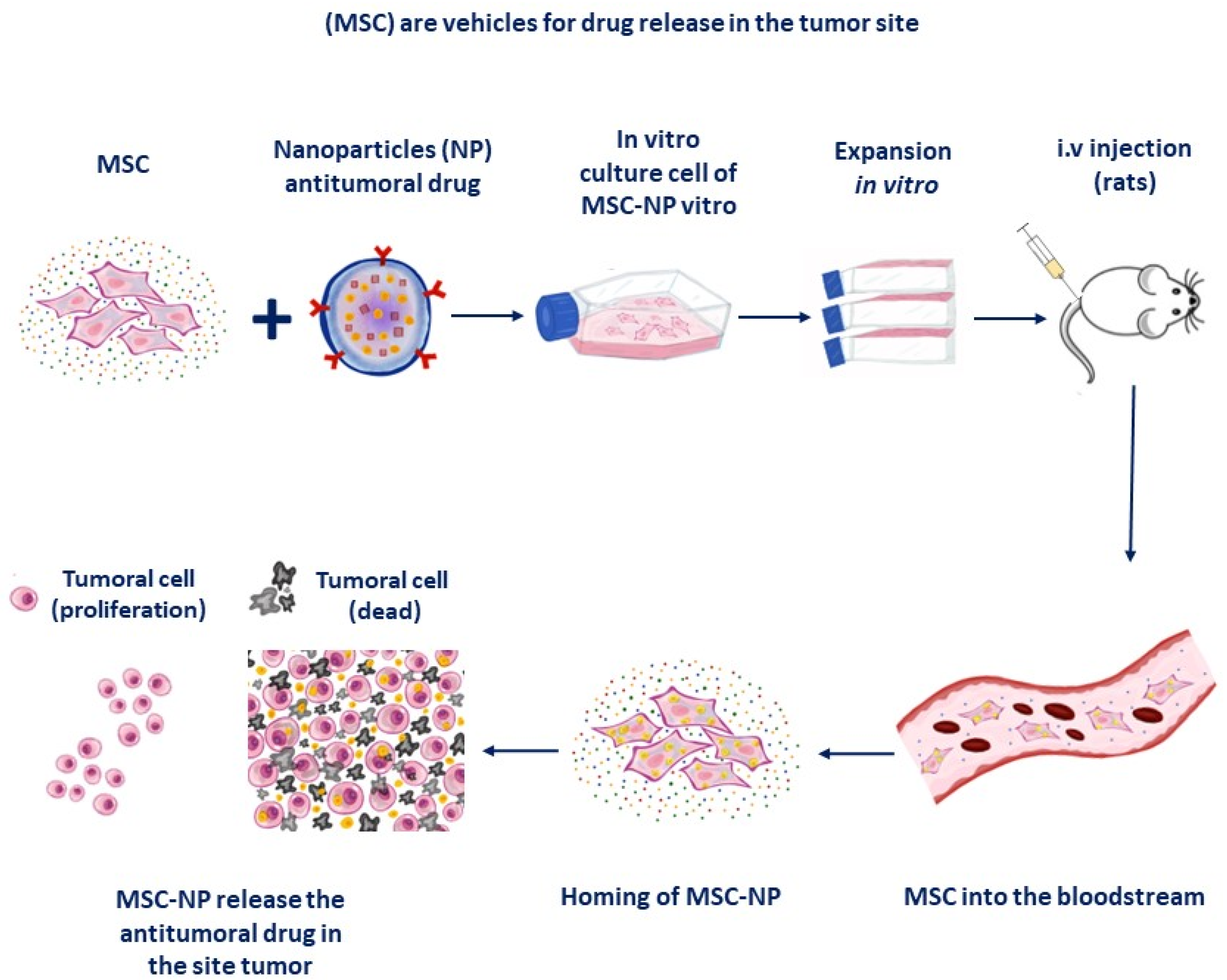 Micromachines 14 02068 g006