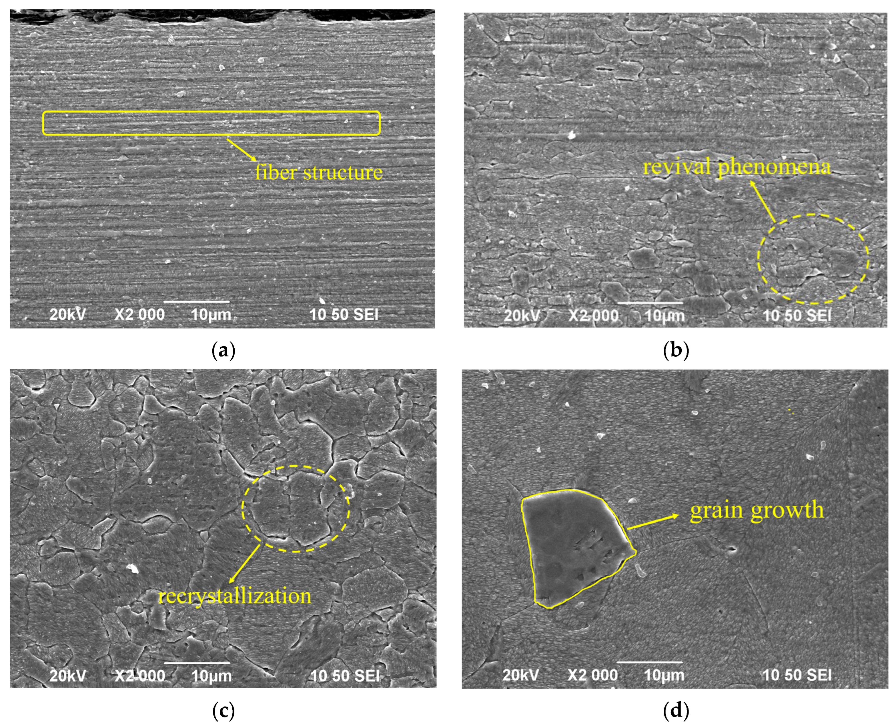 Micromachines 14 02080 g005
