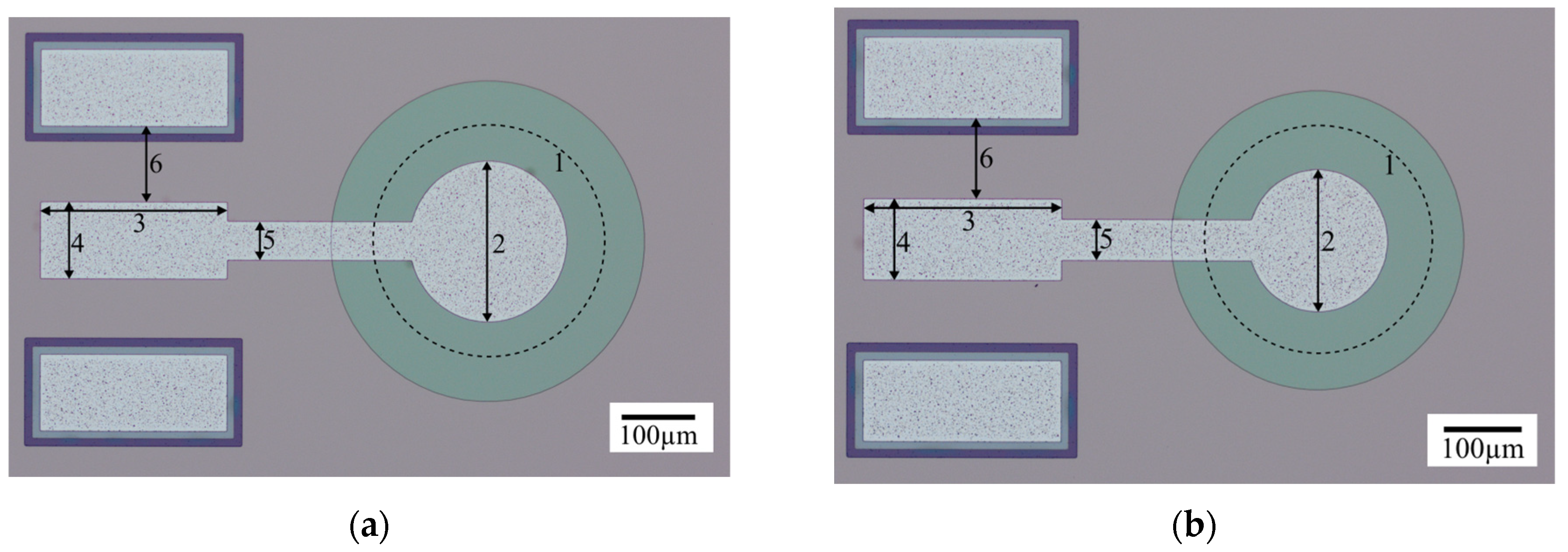 Micromachines 14 02089 g009